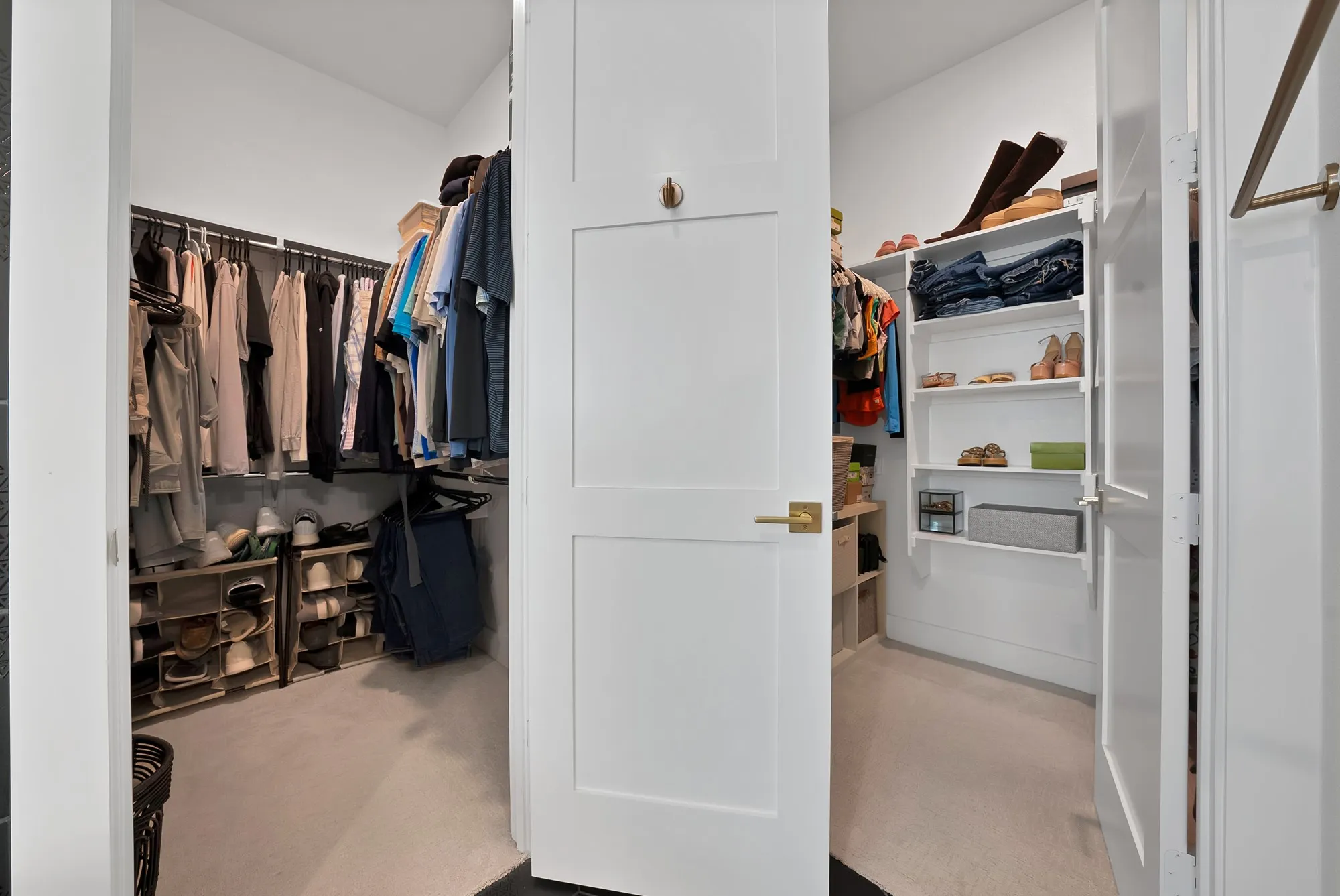 Walk-in closet featuring white panel doors with brass hardware, built-in shelving, hanging rods, and light-toned carpeting