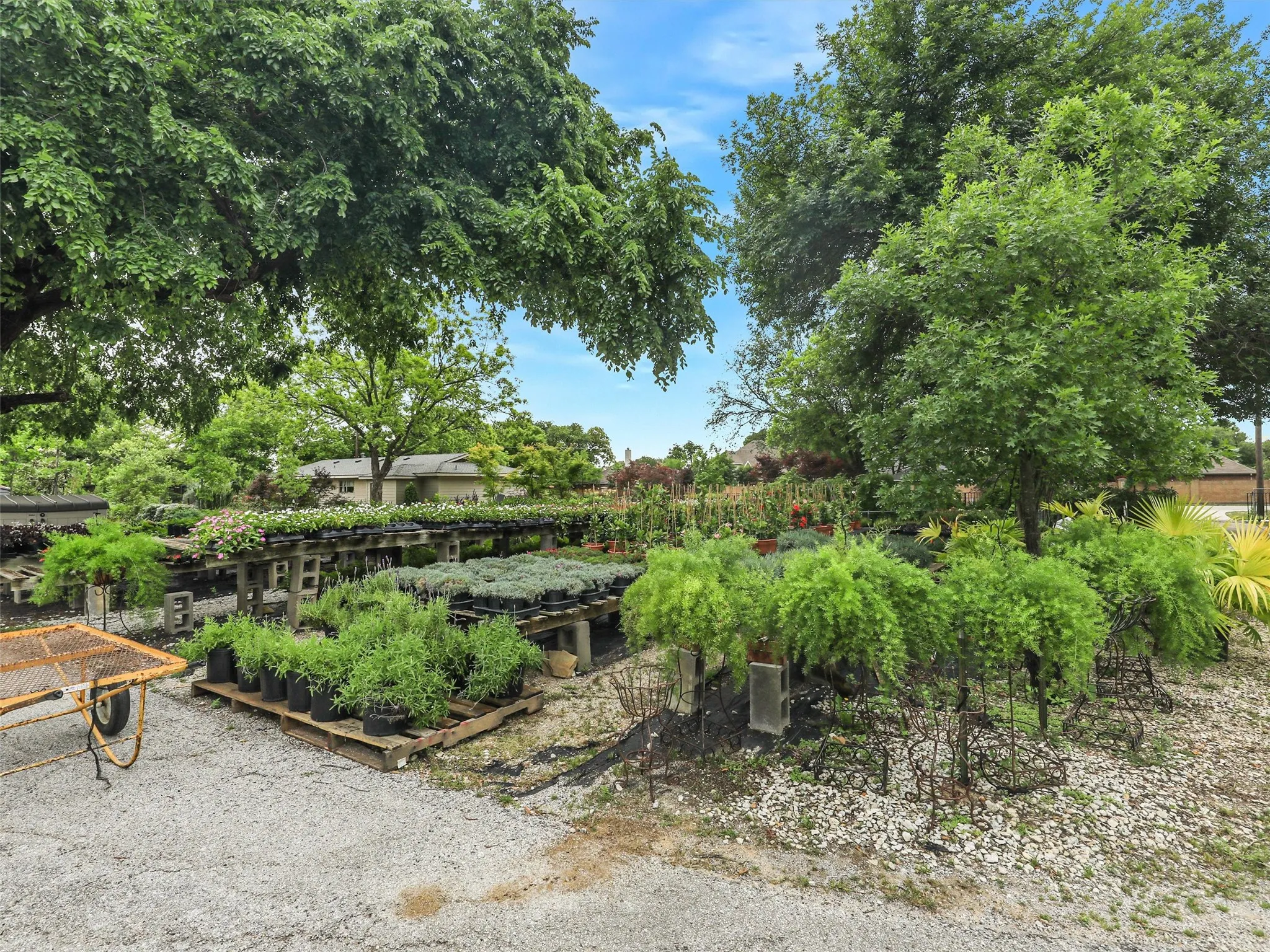 Single Family Residence For Sale in Tarrant County , 2499 Union Church Road, Southlake, Texas 76092, 3 Bedrooms, 1 Bathroom, Garage spaces, 1,056 Sqft, built in 1960, Price $5,600,000, mls#21168705, Real Estate Agent in Southlake, Homes For Sale in Tarrant county, Homes For Sale in Southlake, Realtor in Southlake Texas, Real Estate Brokerage Independent Realty Texas, Luminita Cordes Realtor