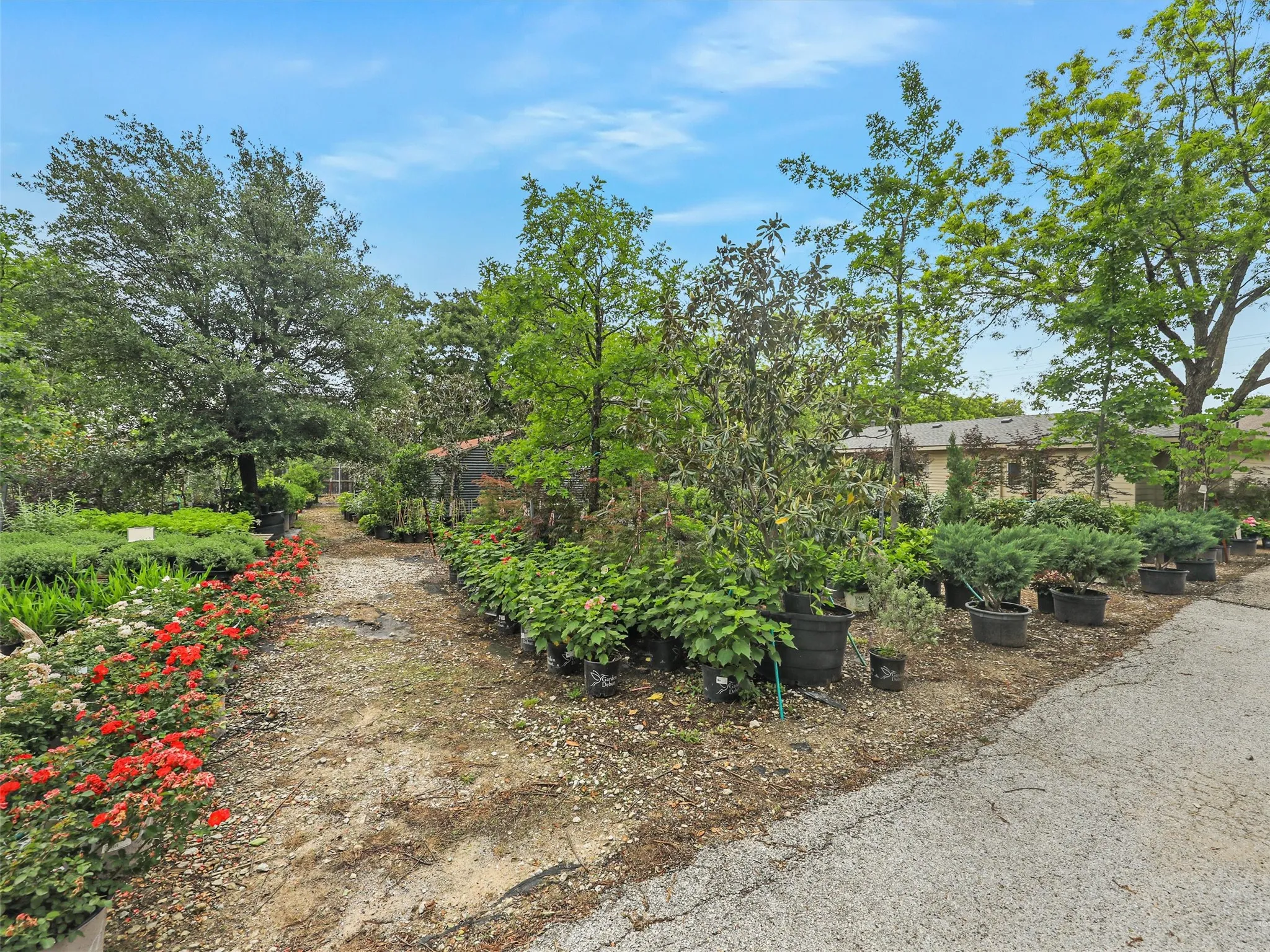 Single Family Residence For Sale in Tarrant County , 2499 Union Church Road, Southlake, Texas 76092, 3 Bedrooms, 1 Bathroom, Garage spaces, 1,056 Sqft, built in 1960, Price $5,600,000, mls#21168705, Real Estate Agent in Southlake, Homes For Sale in Tarrant county, Homes For Sale in Southlake, Realtor in Southlake Texas, Real Estate Brokerage Independent Realty Texas, Luminita Cordes Realtor
