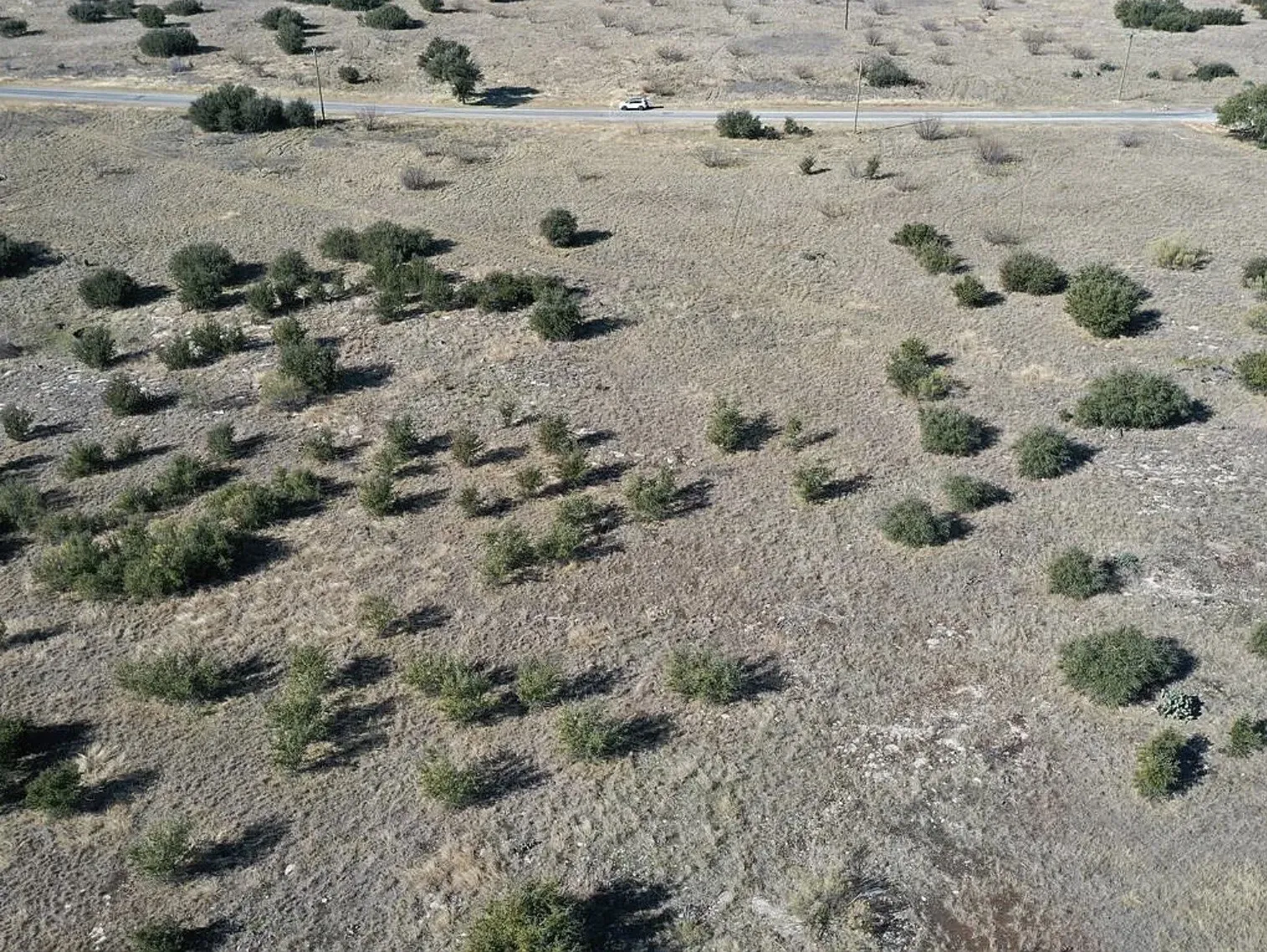 Unimproved Land For Sale in Palo Pinto County , 1036 Lake Shore Loop, Graford, Texas 76449, 0, 0, Garage spaces, 0 Sqft, built in 0, Price $60,000, mls#21162268, Real Estate Agent in Graford, Homes For Sale in Palo Pinto county, Homes For Sale in Graford, Realtor in Graford Texas, Real Estate Brokerage Independent Realty Texas, Luminita Cordes Realtor