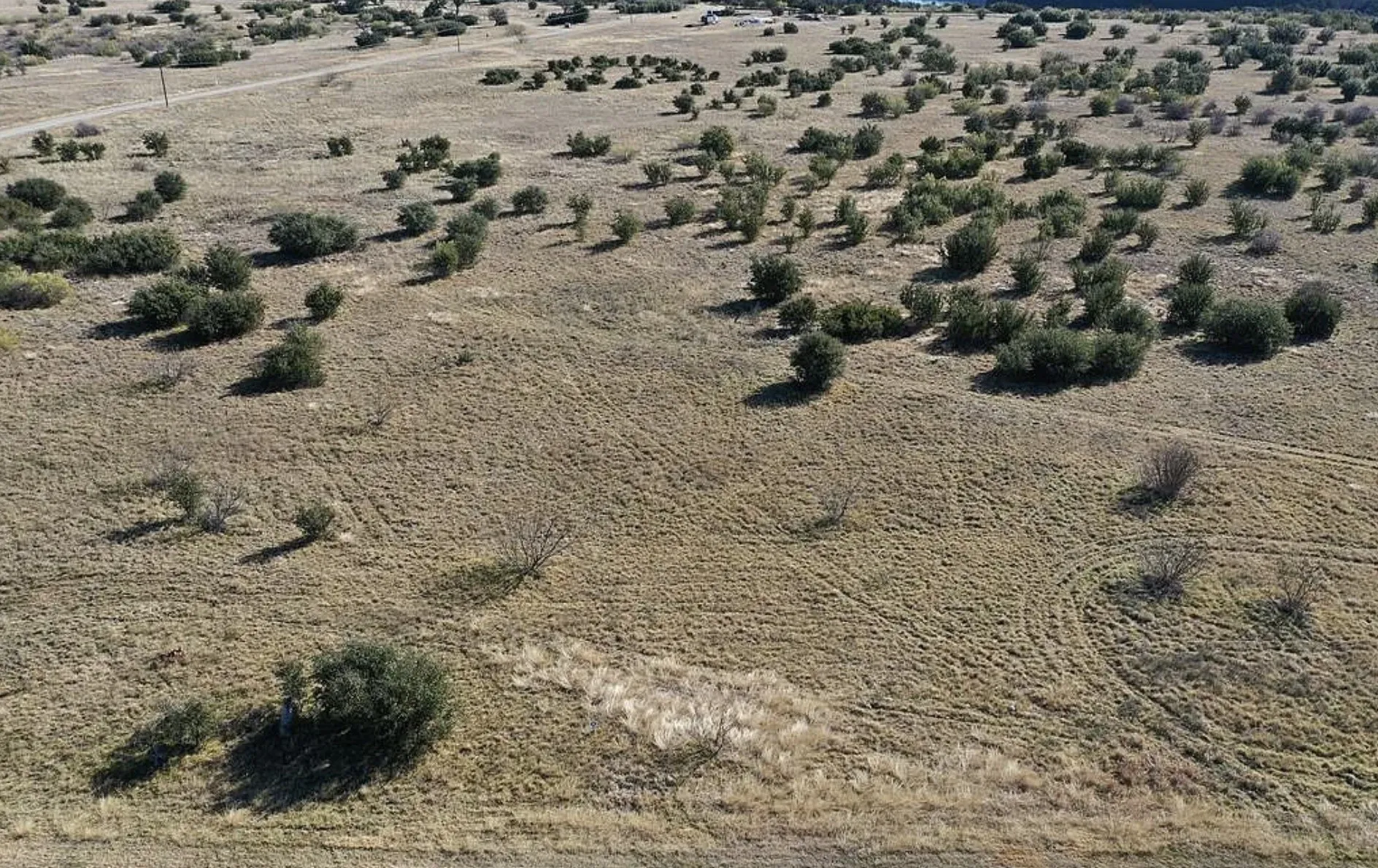 Unimproved Land For Sale in Palo Pinto County , 1036 Lake Shore Loop, Graford, Texas 76449, 0, 0, Garage spaces, 0 Sqft, built in 0, Price $60,000, mls#21162268, Real Estate Agent in Graford, Homes For Sale in Palo Pinto county, Homes For Sale in Graford, Realtor in Graford Texas, Real Estate Brokerage Independent Realty Texas, Luminita Cordes Realtor