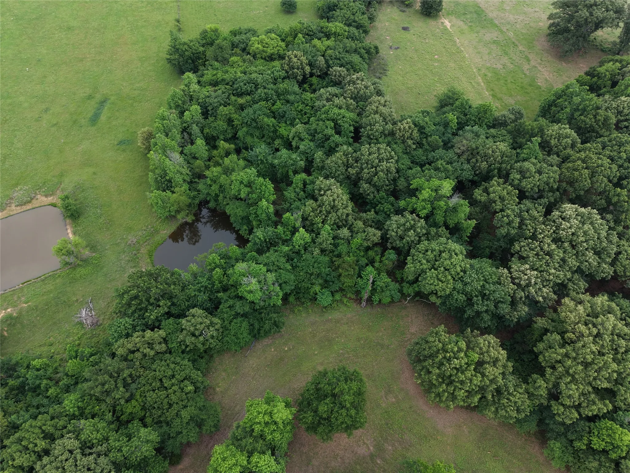 Unimproved Land For Sale in Hopkins County , 00 County Road 2437, Como, Texas 75431, 0, 0, Garage spaces, 0 Sqft, built in 0, Price $265,000, mls#21164887, Real Estate Agent in Como, Homes For Sale in Hopkins county, Homes For Sale in Como, Realtor in Como Texas, Real Estate Brokerage Independent Realty Texas, Luminita Cordes Realtor