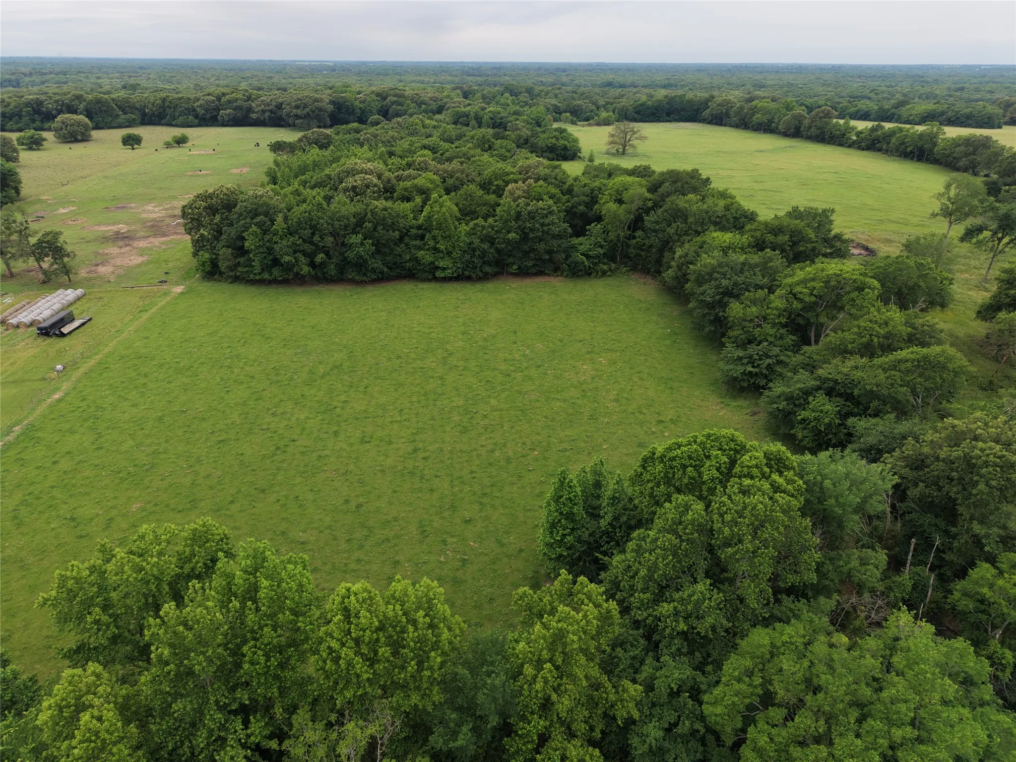 Unimproved Land For Sale in Hopkins County , 00 County Road 2437, Como, Texas 75431, 0, 0, Garage spaces, 0 Sqft, built in 0, Price $265,000, mls#21164887, Real Estate Agent in Como, Homes For Sale in Hopkins county, Homes For Sale in Como, Realtor in Como Texas, Real Estate Brokerage Independent Realty Texas, Luminita Cordes Realtor