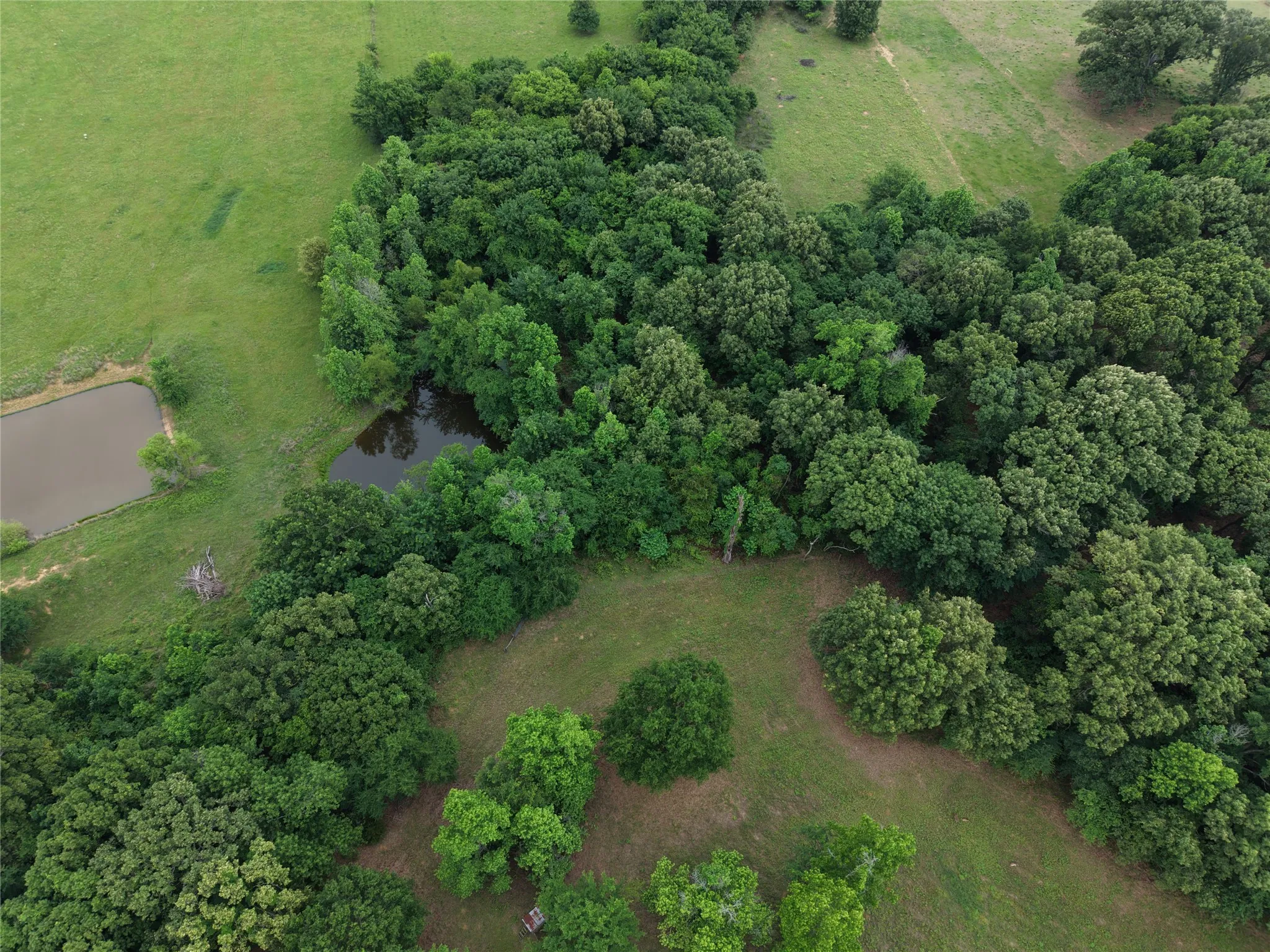 Unimproved Land For Sale in Hopkins County , 00 County Road 2437, Como, Texas 75431, 0, 0, Garage spaces, 0 Sqft, built in 0, Price $265,000, mls#21164887, Real Estate Agent in Como, Homes For Sale in Hopkins county, Homes For Sale in Como, Realtor in Como Texas, Real Estate Brokerage Independent Realty Texas, Luminita Cordes Realtor