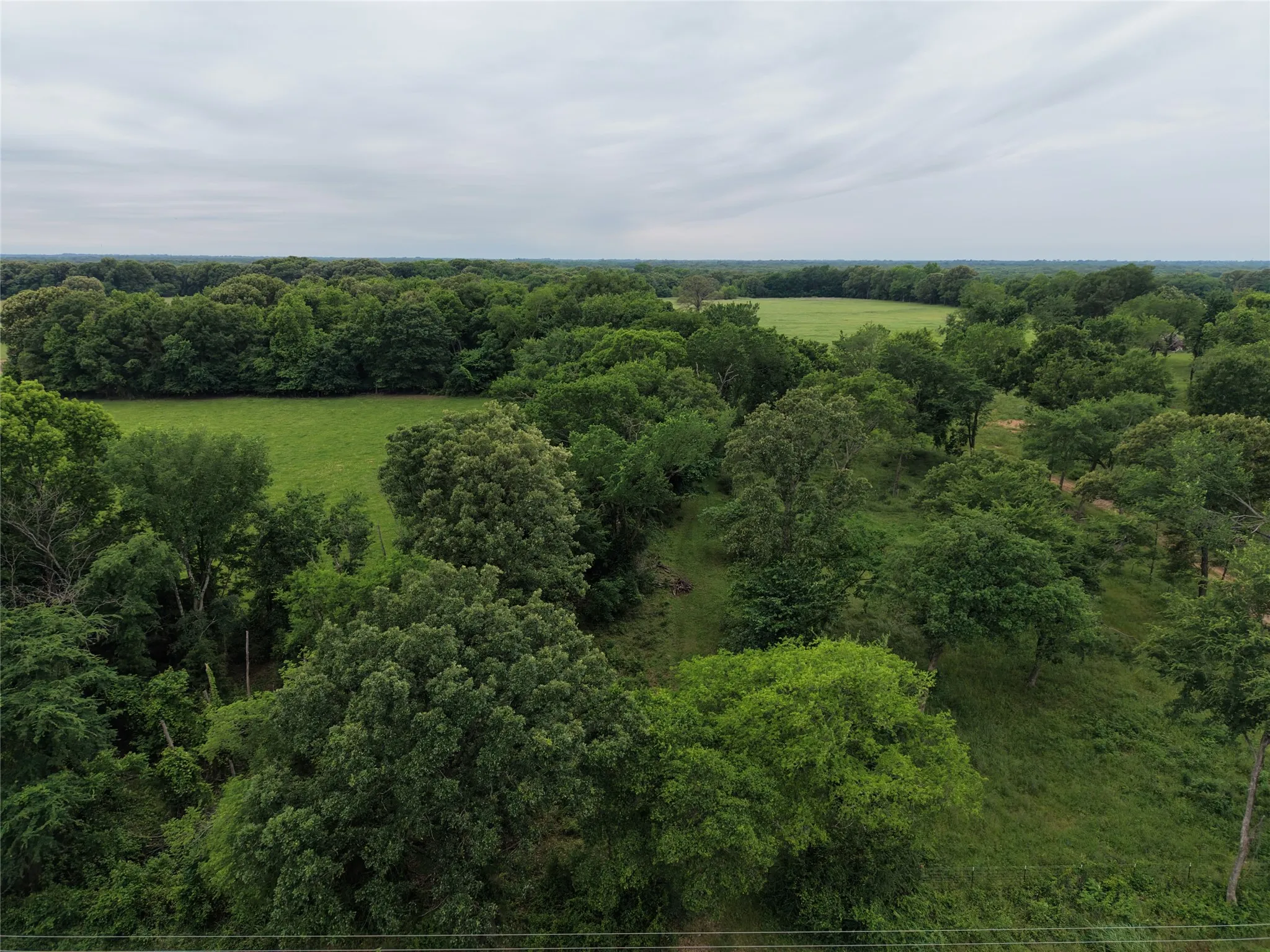 Unimproved Land For Sale in Hopkins County , 00 County Road 2437, Como, Texas 75431, 0, 0, Garage spaces, 0 Sqft, built in 0, Price $265,000, mls#21164887, Real Estate Agent in Como, Homes For Sale in Hopkins county, Homes For Sale in Como, Realtor in Como Texas, Real Estate Brokerage Independent Realty Texas, Luminita Cordes Realtor