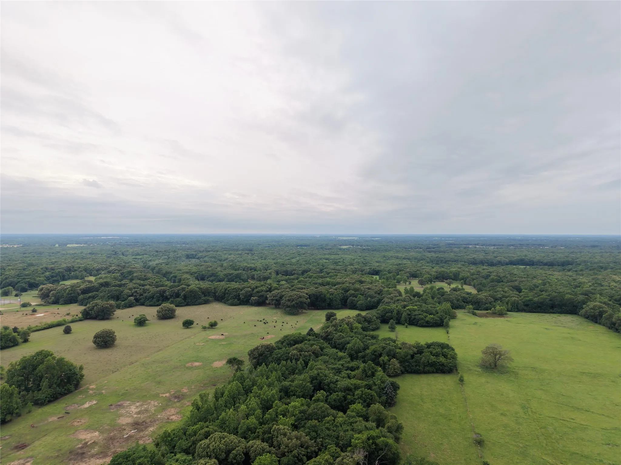 Unimproved Land For Sale in Hopkins County , 00 County Road 2437, Como, Texas 75431, 0, 0, Garage spaces, 0 Sqft, built in 0, Price $265,000, mls#21164887, Real Estate Agent in Como, Homes For Sale in Hopkins county, Homes For Sale in Como, Realtor in Como Texas, Real Estate Brokerage Independent Realty Texas, Luminita Cordes Realtor
