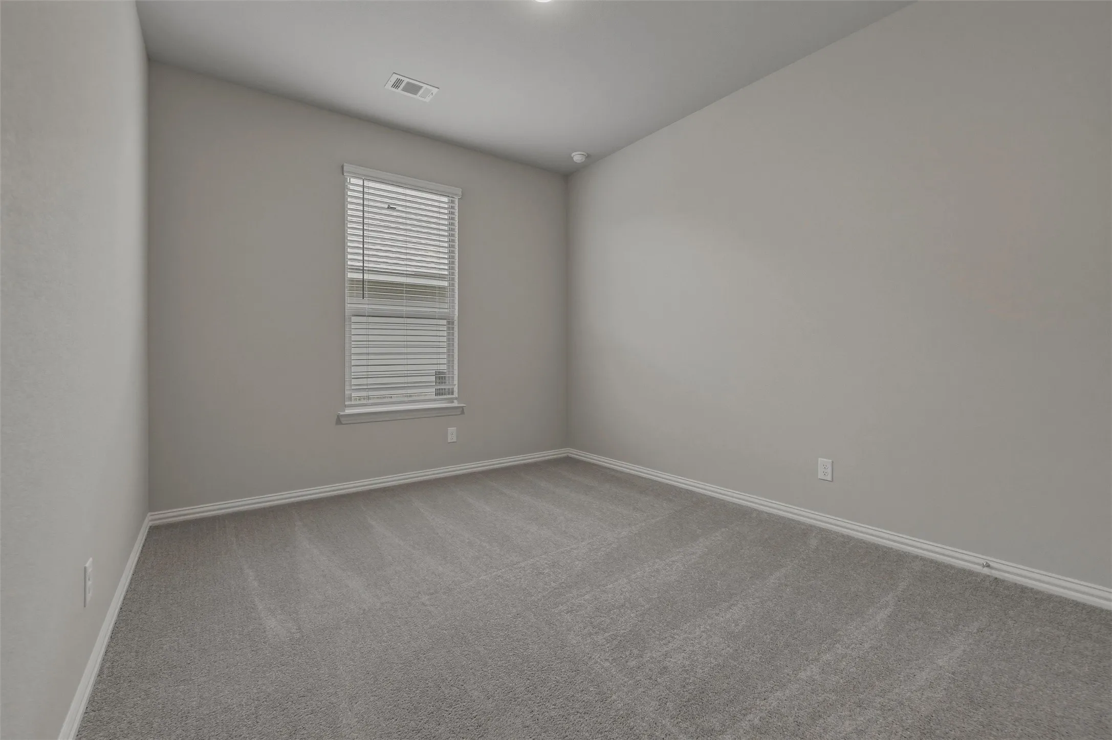 Window with blinds, wall-to-wall carpeting, and neutral paint