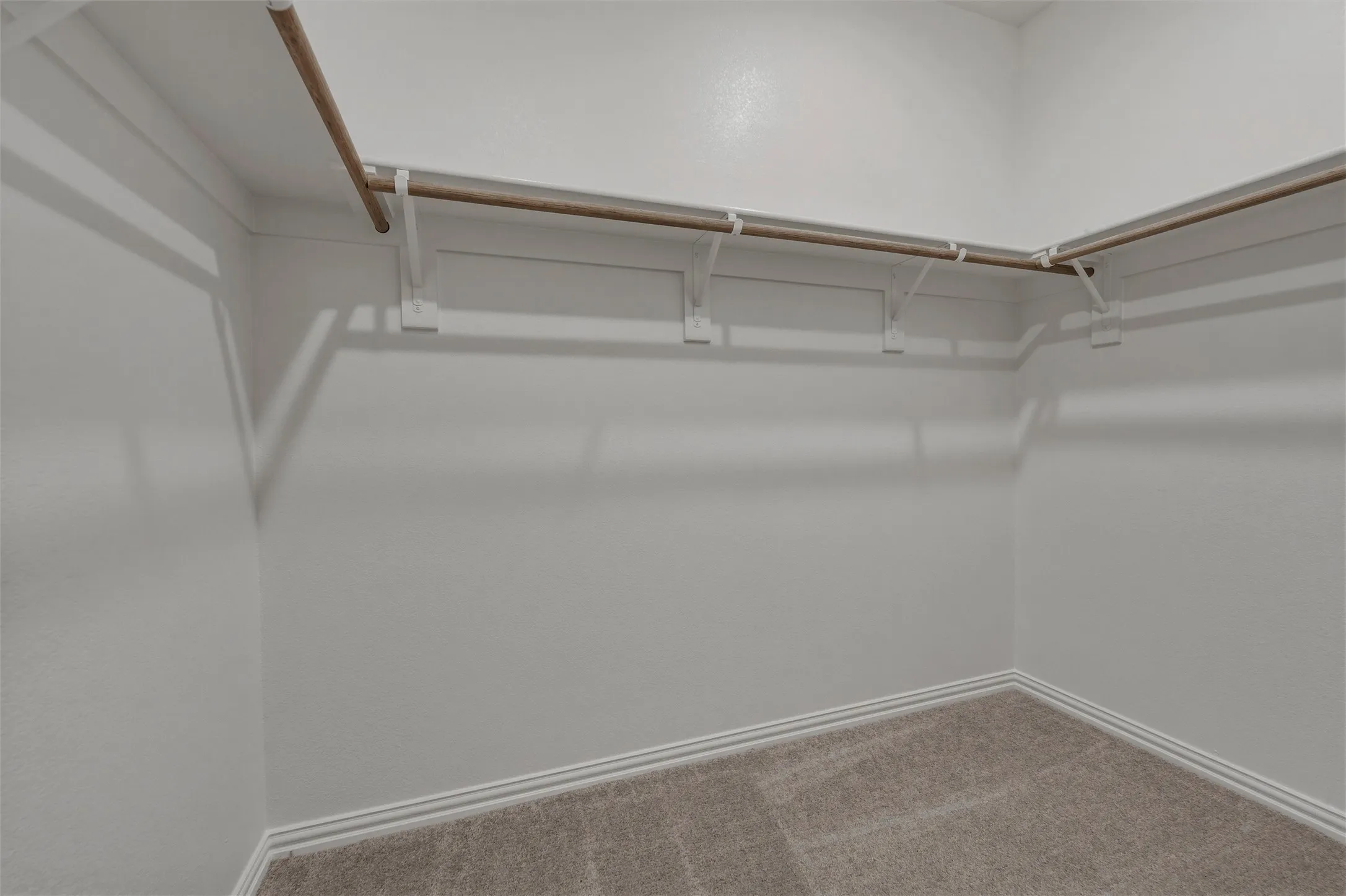 Walk-in closet featuring carpet flooring, crisp white walls, and built-in shelving with hanging rods