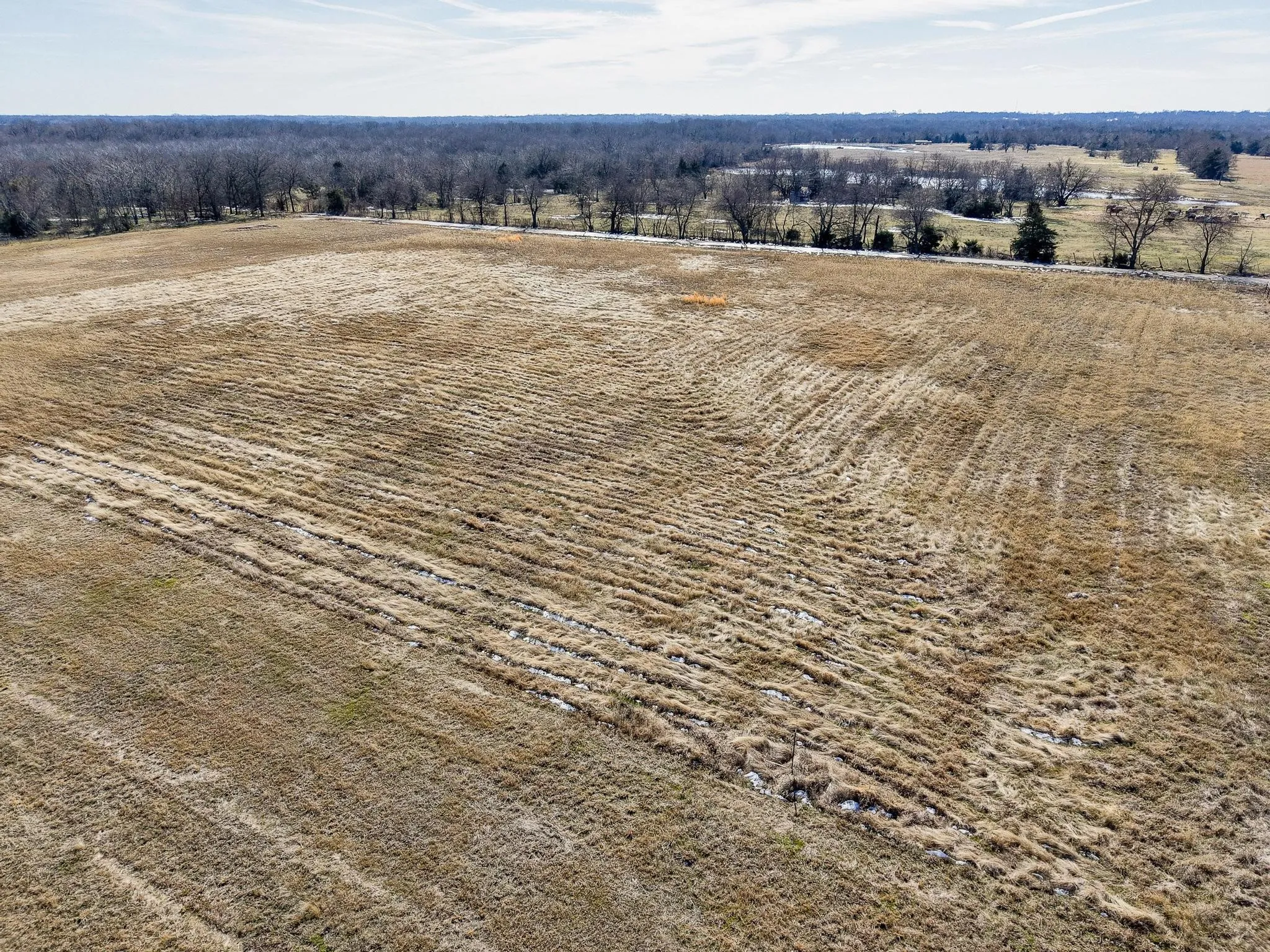Improved Land For Sale in Hunt County , 768 County Road 1021, Wolfe City, Texas 75496, 0, 0, Garage spaces, 0 Sqft, built in 0, Price $90,000, mls#21169254, Real Estate Agent in Wolfe City, Homes For Sale in Hunt county, Homes For Sale in Wolfe City, Realtor in Wolfe City Texas, Real Estate Brokerage Independent Realty Texas, Luminita Cordes Realtor