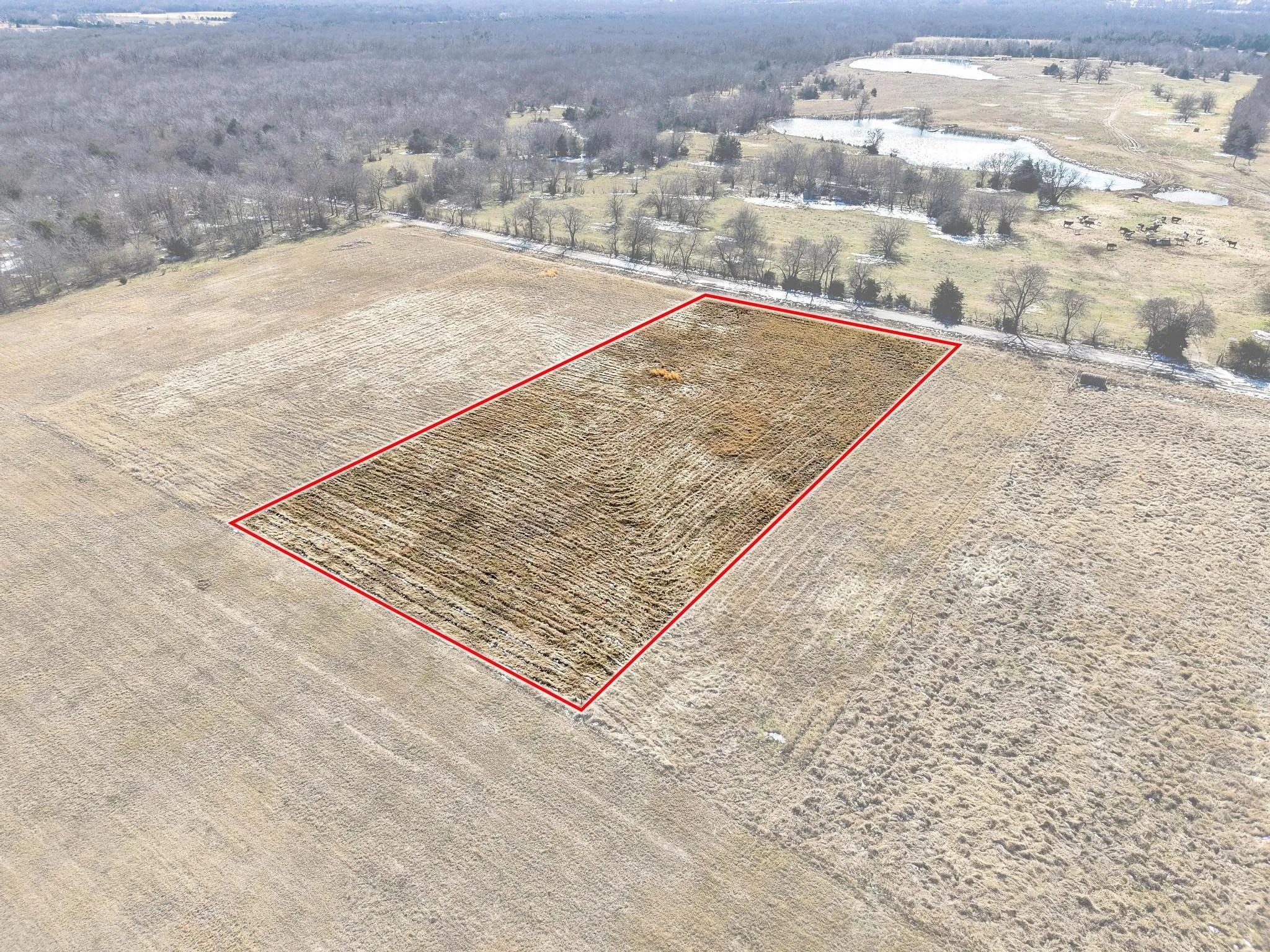 Improved Land For Sale in Hunt County , 768 County Road 1021, Wolfe City, Texas 75496, 0, 0, Garage spaces, 0 Sqft, built in 0, Price $90,000, mls#21169254, Real Estate Agent in Wolfe City, Homes For Sale in Hunt county, Homes For Sale in Wolfe City, Realtor in Wolfe City Texas, Real Estate Brokerage Independent Realty Texas, Luminita Cordes Realtor