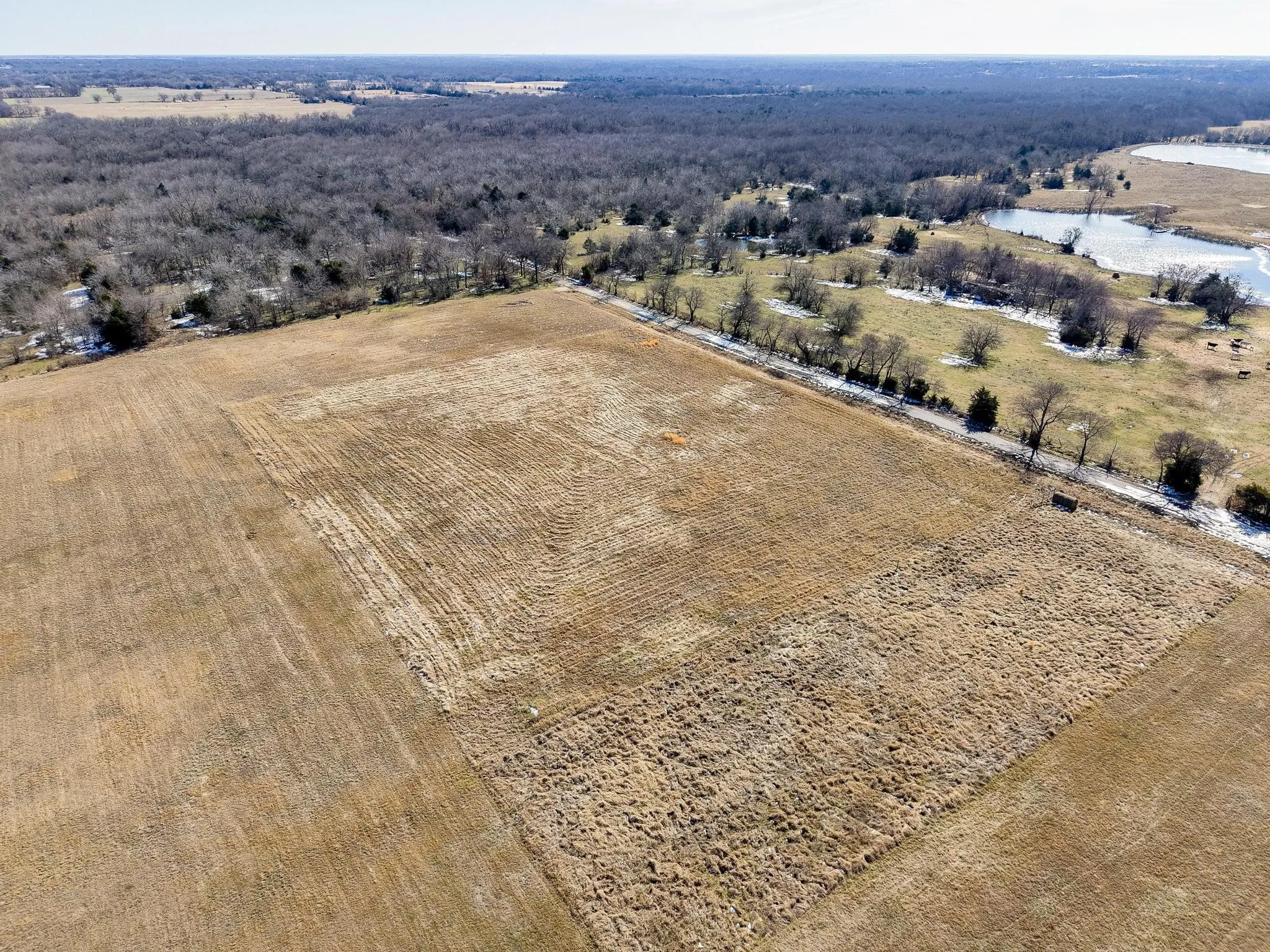 Improved Land For Sale in Hunt County , 768 County Road 1021, Wolfe City, Texas 75496, 0, 0, Garage spaces, 0 Sqft, built in 0, Price $90,000, mls#21169254, Real Estate Agent in Wolfe City, Homes For Sale in Hunt county, Homes For Sale in Wolfe City, Realtor in Wolfe City Texas, Real Estate Brokerage Independent Realty Texas, Luminita Cordes Realtor