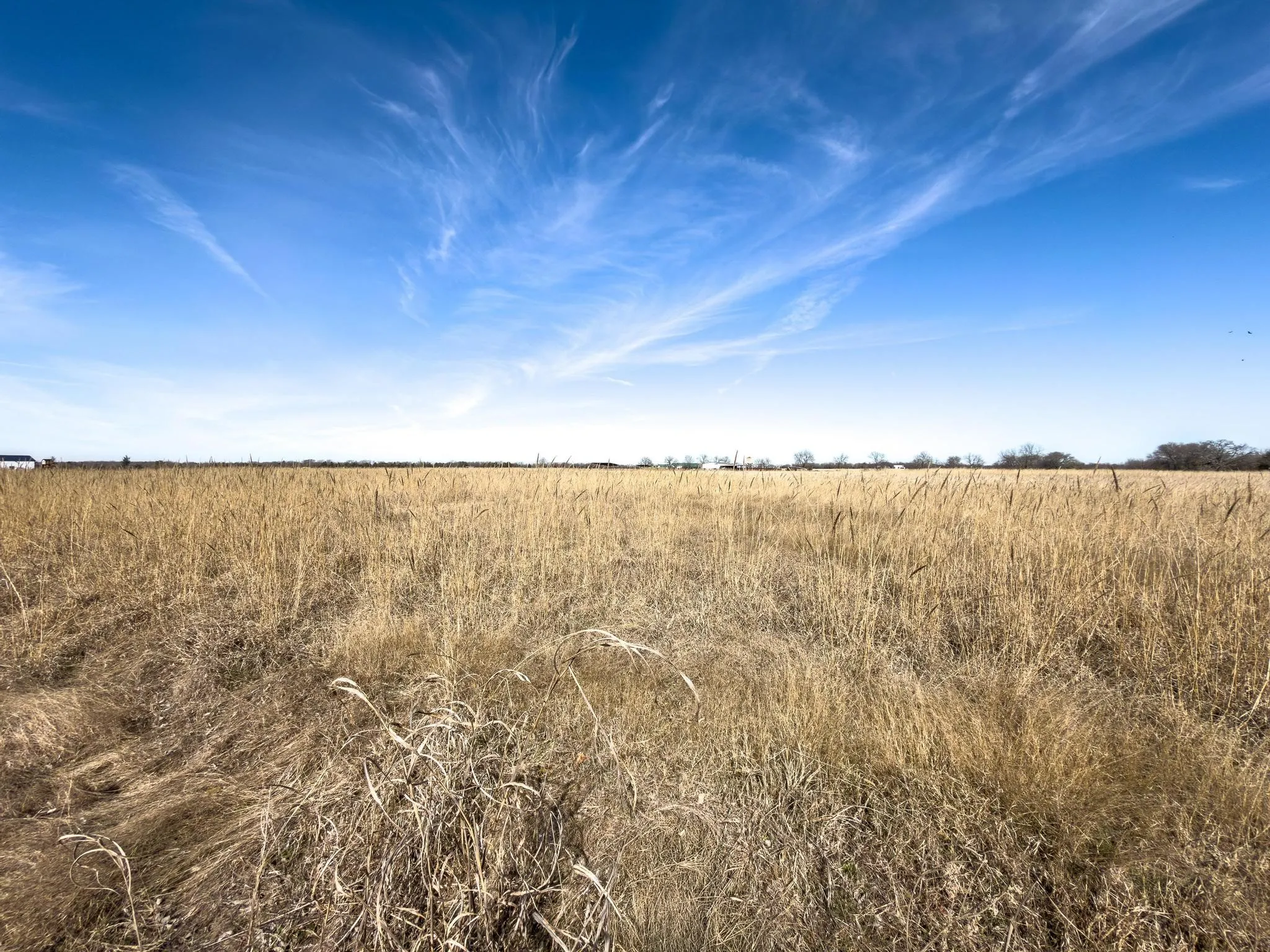Improved Land For Sale in Hunt County , 768 County Road 1021, Wolfe City, Texas 75496, 0, 0, Garage spaces, 0 Sqft, built in 0, Price $90,000, mls#21169254, Real Estate Agent in Wolfe City, Homes For Sale in Hunt county, Homes For Sale in Wolfe City, Realtor in Wolfe City Texas, Real Estate Brokerage Independent Realty Texas, Luminita Cordes Realtor
