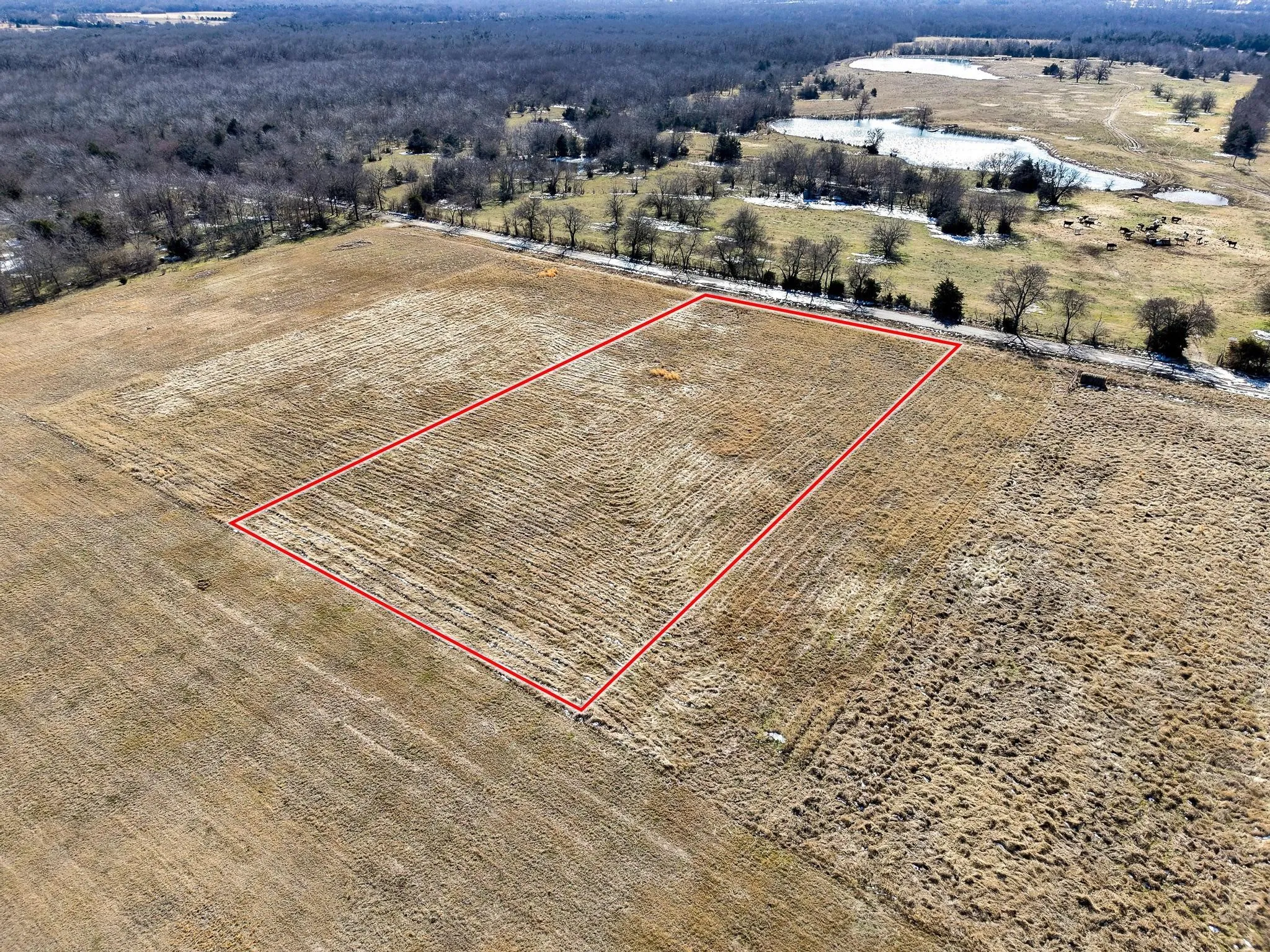 Improved Land For Sale in Hunt County , 768 County Road 1021, Wolfe City, Texas 75496, 0, 0, Garage spaces, 0 Sqft, built in 0, Price $90,000, mls#21169254, Real Estate Agent in Wolfe City, Homes For Sale in Hunt county, Homes For Sale in Wolfe City, Realtor in Wolfe City Texas, Real Estate Brokerage Independent Realty Texas, Luminita Cordes Realtor
