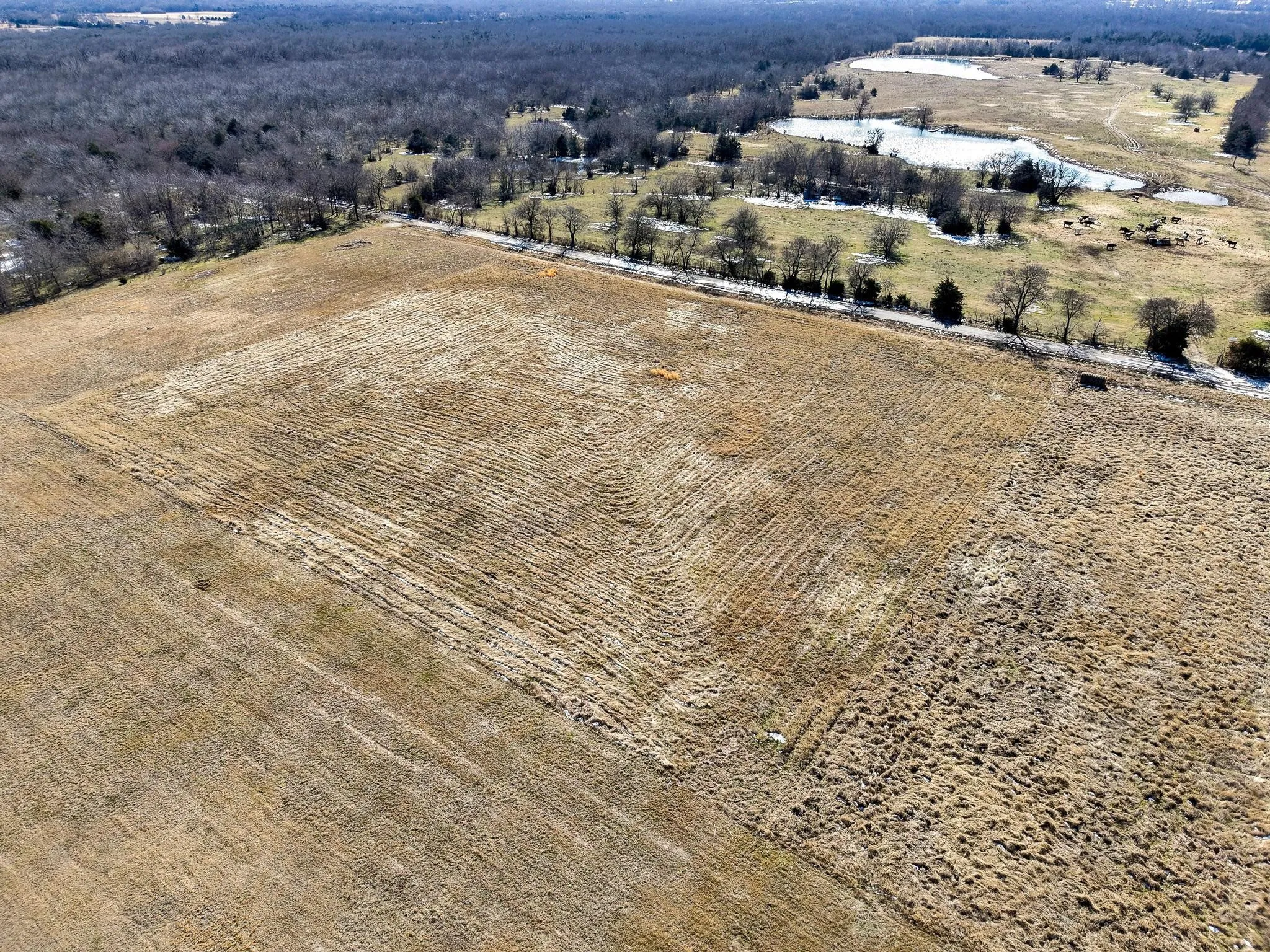 Improved Land For Sale in Hunt County , 768 County Road 1021, Wolfe City, Texas 75496, 0, 0, Garage spaces, 0 Sqft, built in 0, Price $90,000, mls#21169254, Real Estate Agent in Wolfe City, Homes For Sale in Hunt county, Homes For Sale in Wolfe City, Realtor in Wolfe City Texas, Real Estate Brokerage Independent Realty Texas, Luminita Cordes Realtor