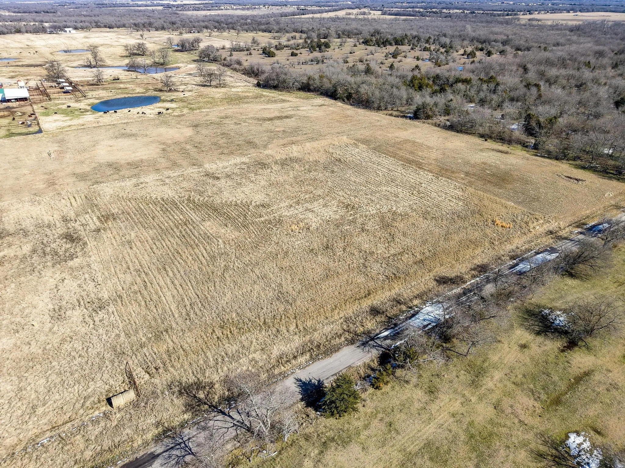 Improved Land For Sale in Hunt County , 768 County Road 1021, Wolfe City, Texas 75496, 0, 0, Garage spaces, 0 Sqft, built in 0, Price $90,000, mls#21169254, Real Estate Agent in Wolfe City, Homes For Sale in Hunt county, Homes For Sale in Wolfe City, Realtor in Wolfe City Texas, Real Estate Brokerage Independent Realty Texas, Luminita Cordes Realtor