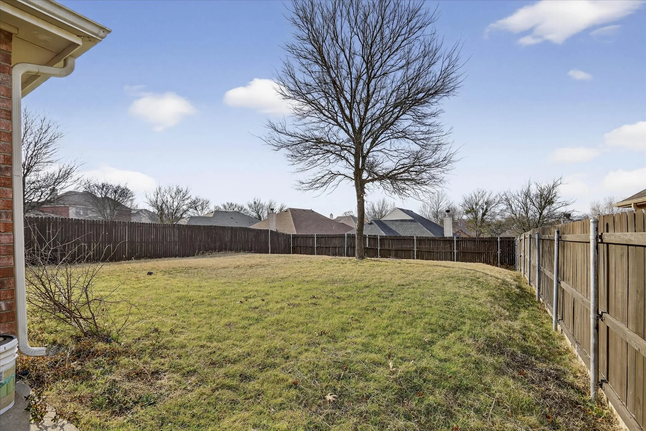View of fenced backyard