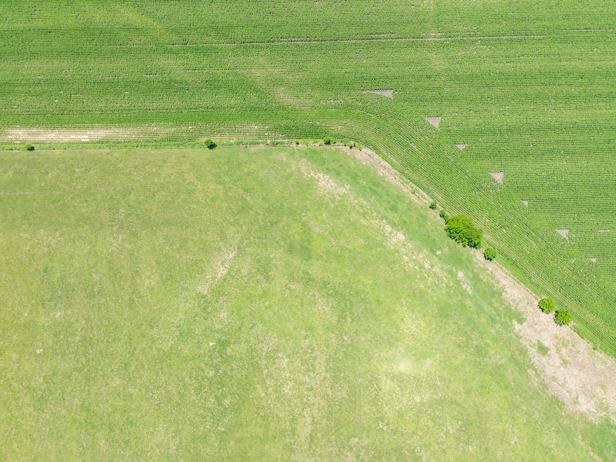 Overview of rural landscape