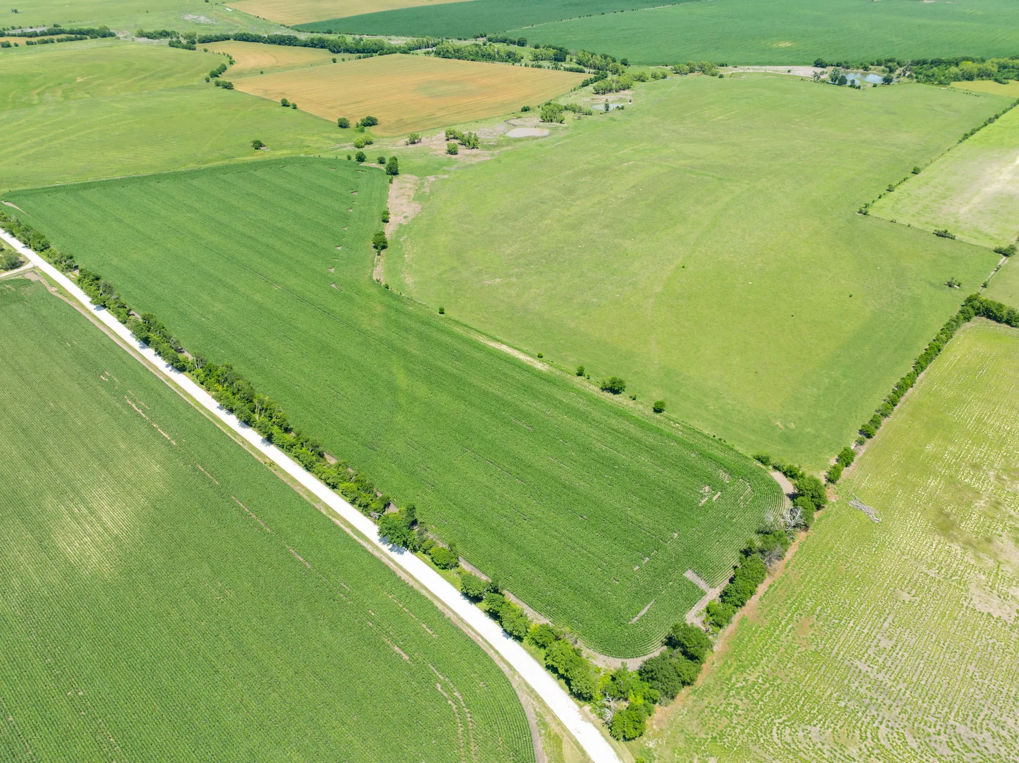 View of rural area with abundant farmland