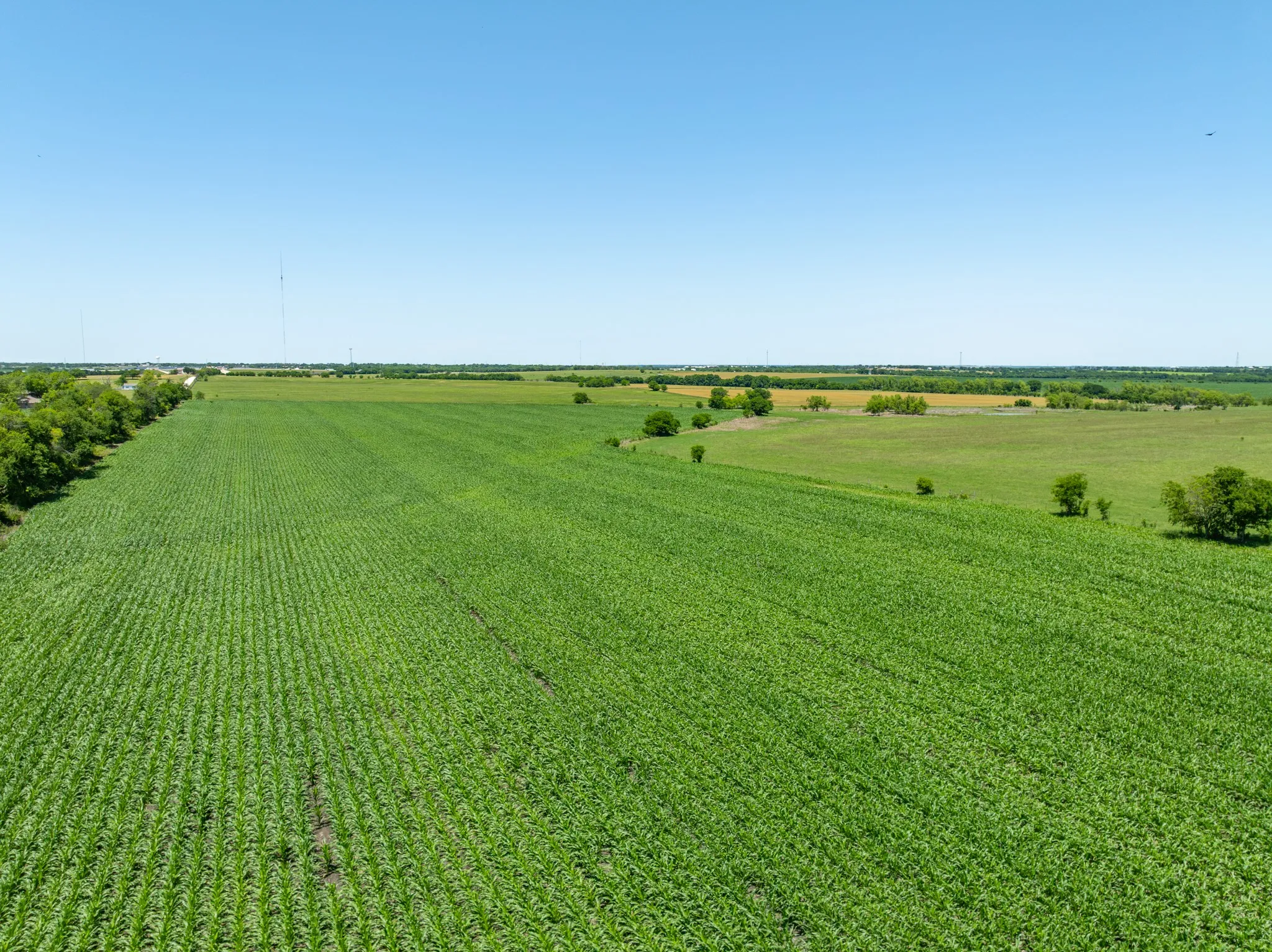 View of yard featuring a view of rural / pastoral area and agricultural plots