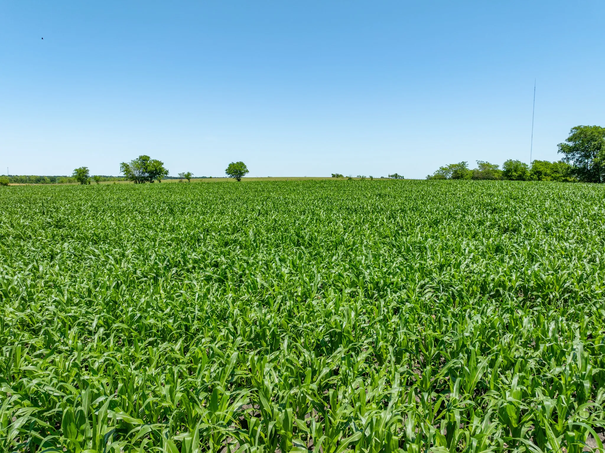 View of undeveloped land featuring large plots for crops and rural landscape