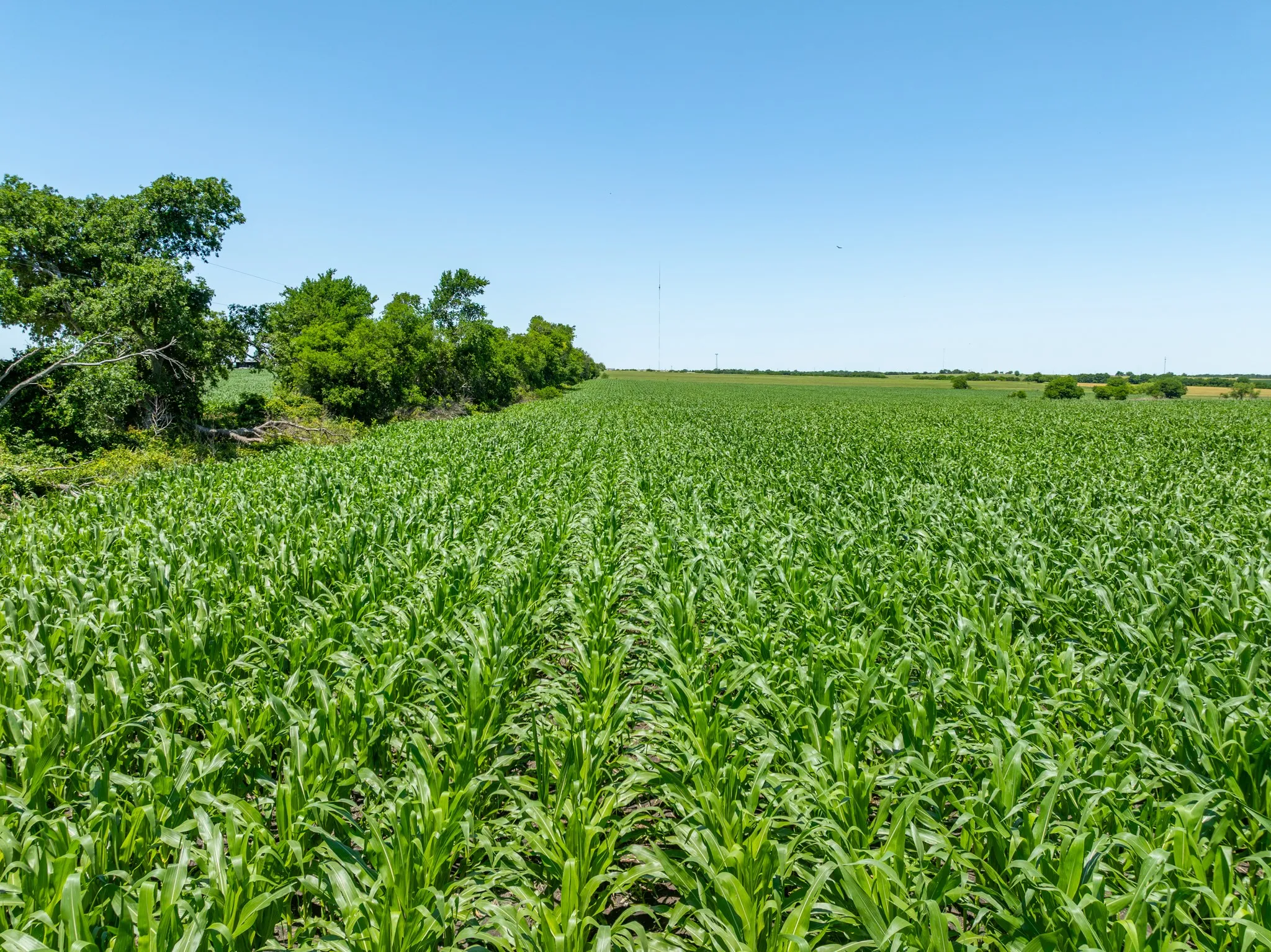 View of local wilderness featuring extensive farmland and rural landscape