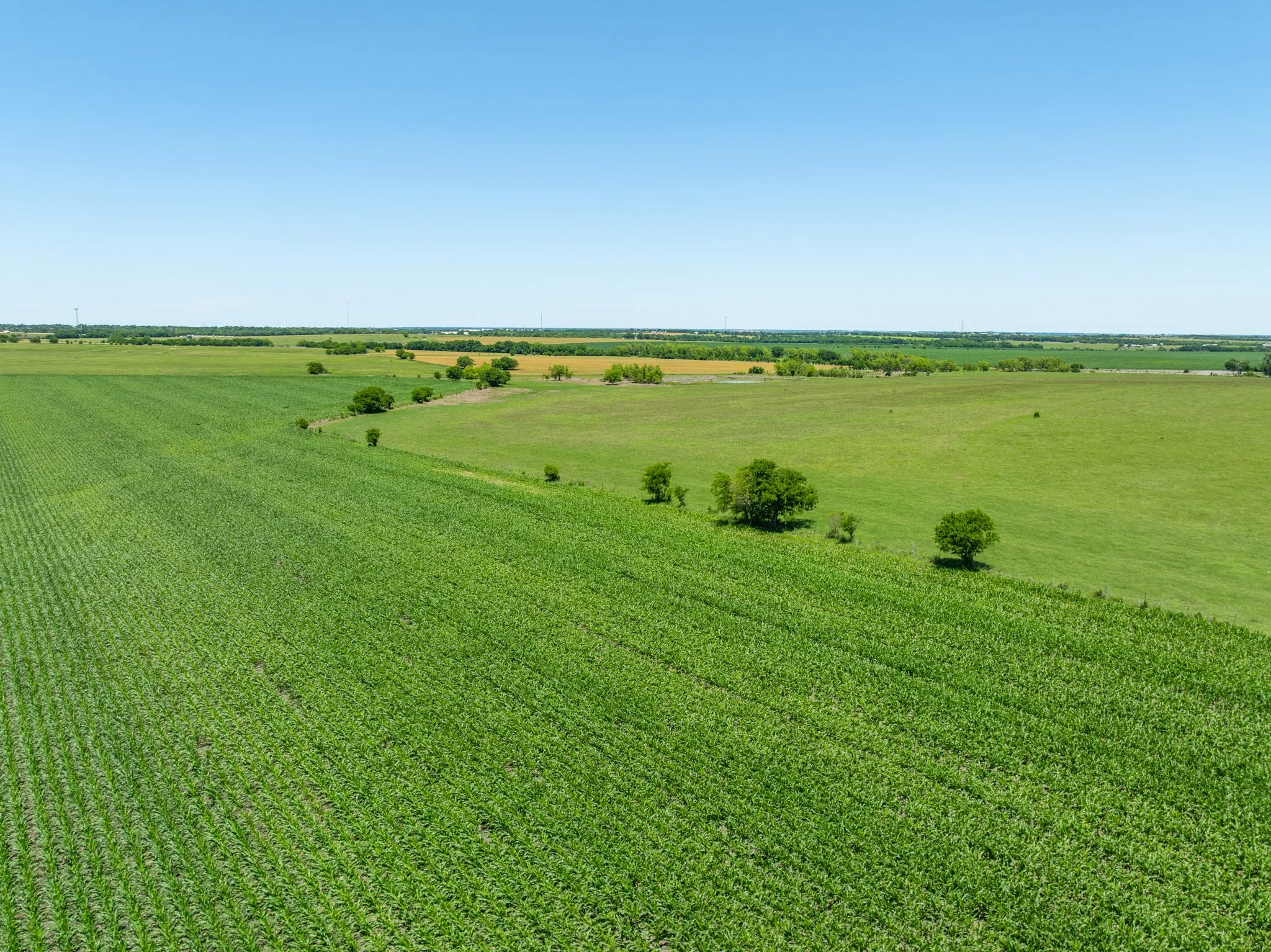 Overview of rural landscape featuring rows of crops