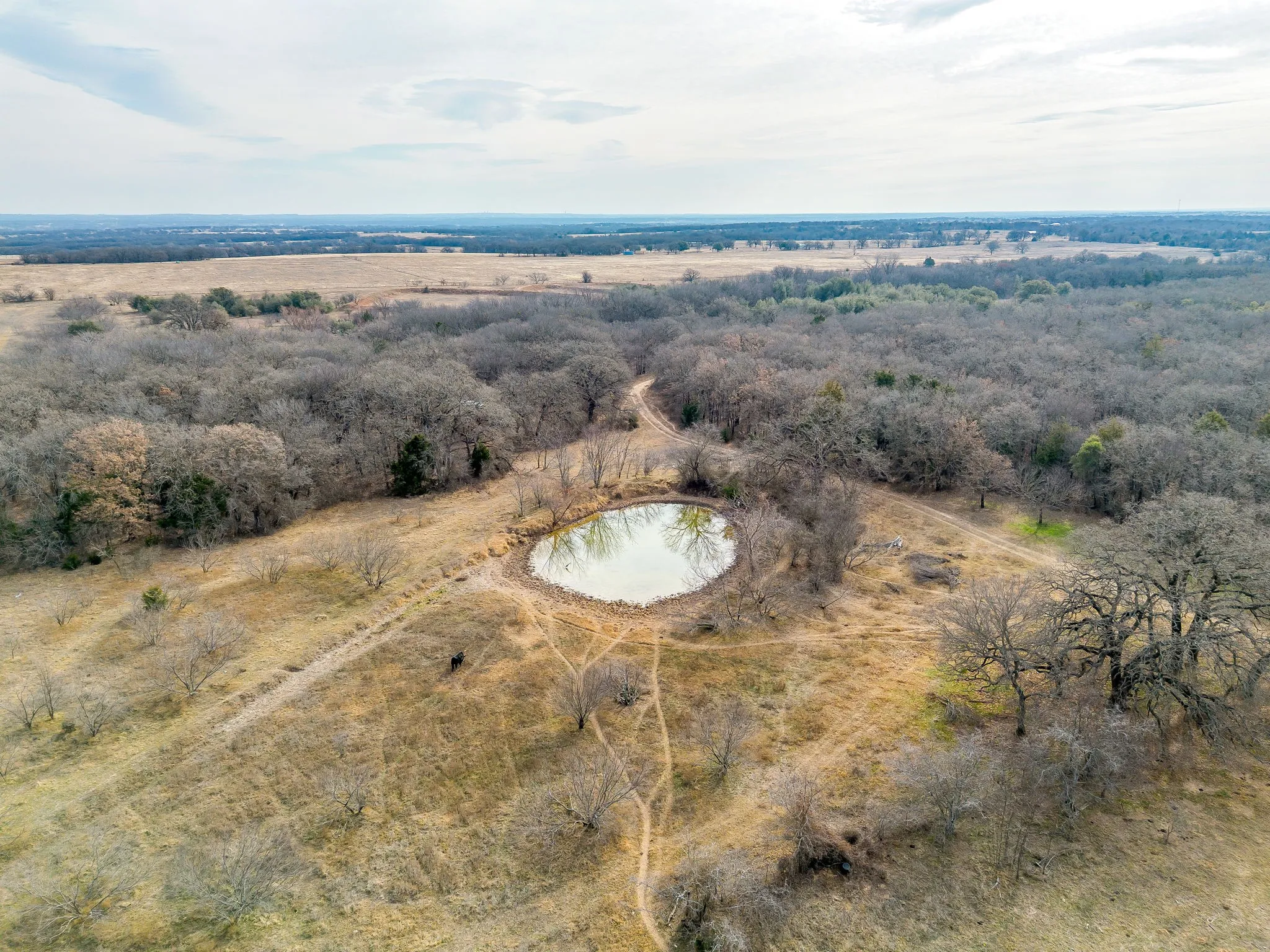 Unimproved Land For Sale in Wise County , TBD COUNTY RD 1340, Chico, Texas 76431, 0, 0, Garage spaces, 0 Sqft, built in 0, mls#21169452, Real Estate Agent in Chico, Homes For Sale in Wise county, Homes For Sale in Chico, Realtor in Chico Texas, Real Estate Brokerage Independent Realty Texas, Luminita Cordes Realtor
