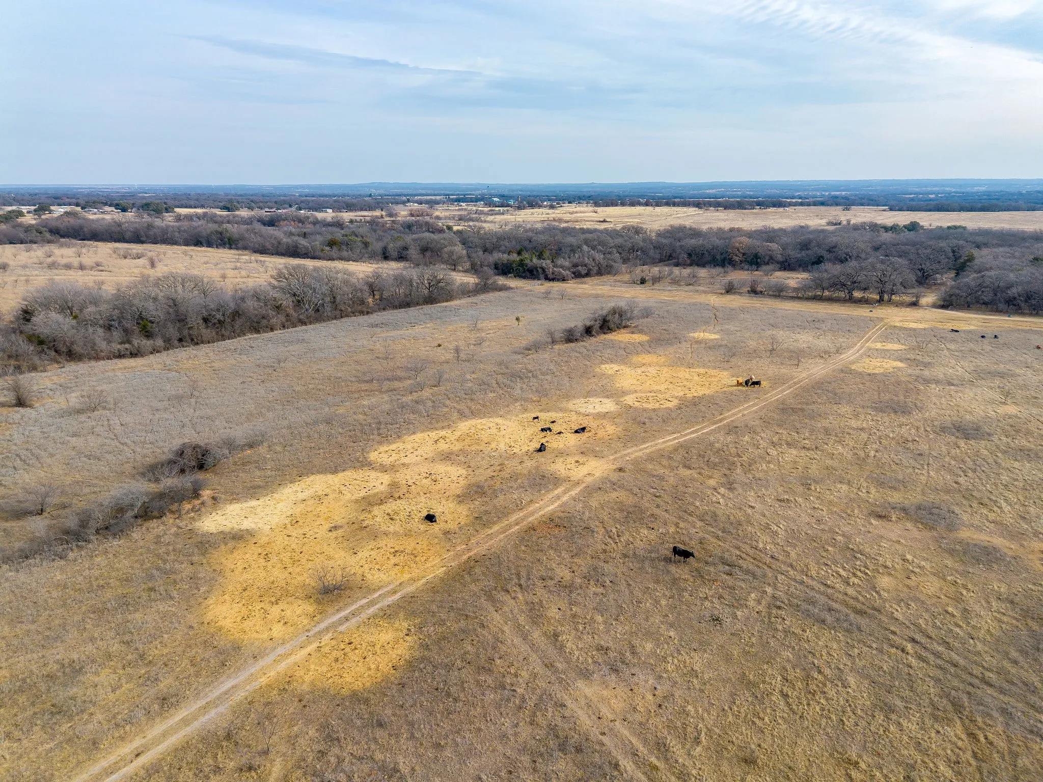 Unimproved Land For Sale in Wise County , TBD COUNTY RD 1340, Chico, Texas 76431, 0, 0, Garage spaces, 0 Sqft, built in 0, mls#21169452, Real Estate Agent in Chico, Homes For Sale in Wise county, Homes For Sale in Chico, Realtor in Chico Texas, Real Estate Brokerage Independent Realty Texas, Luminita Cordes Realtor