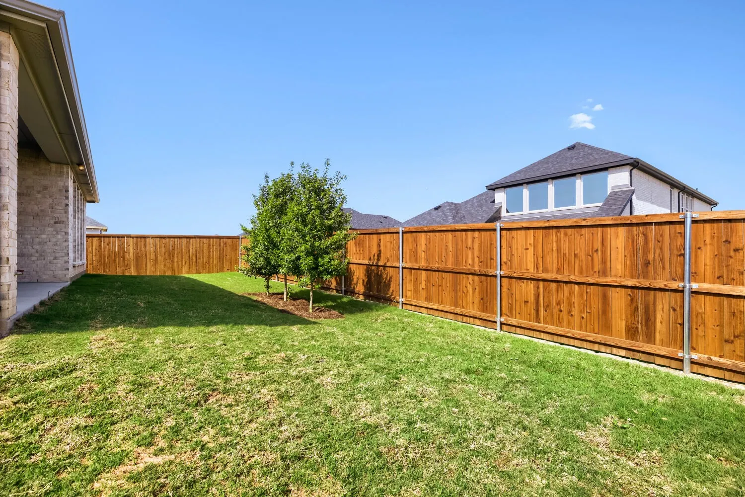 Expansive backyard featuring a manicured lawn, a stained wood privacy fence, and two young trees