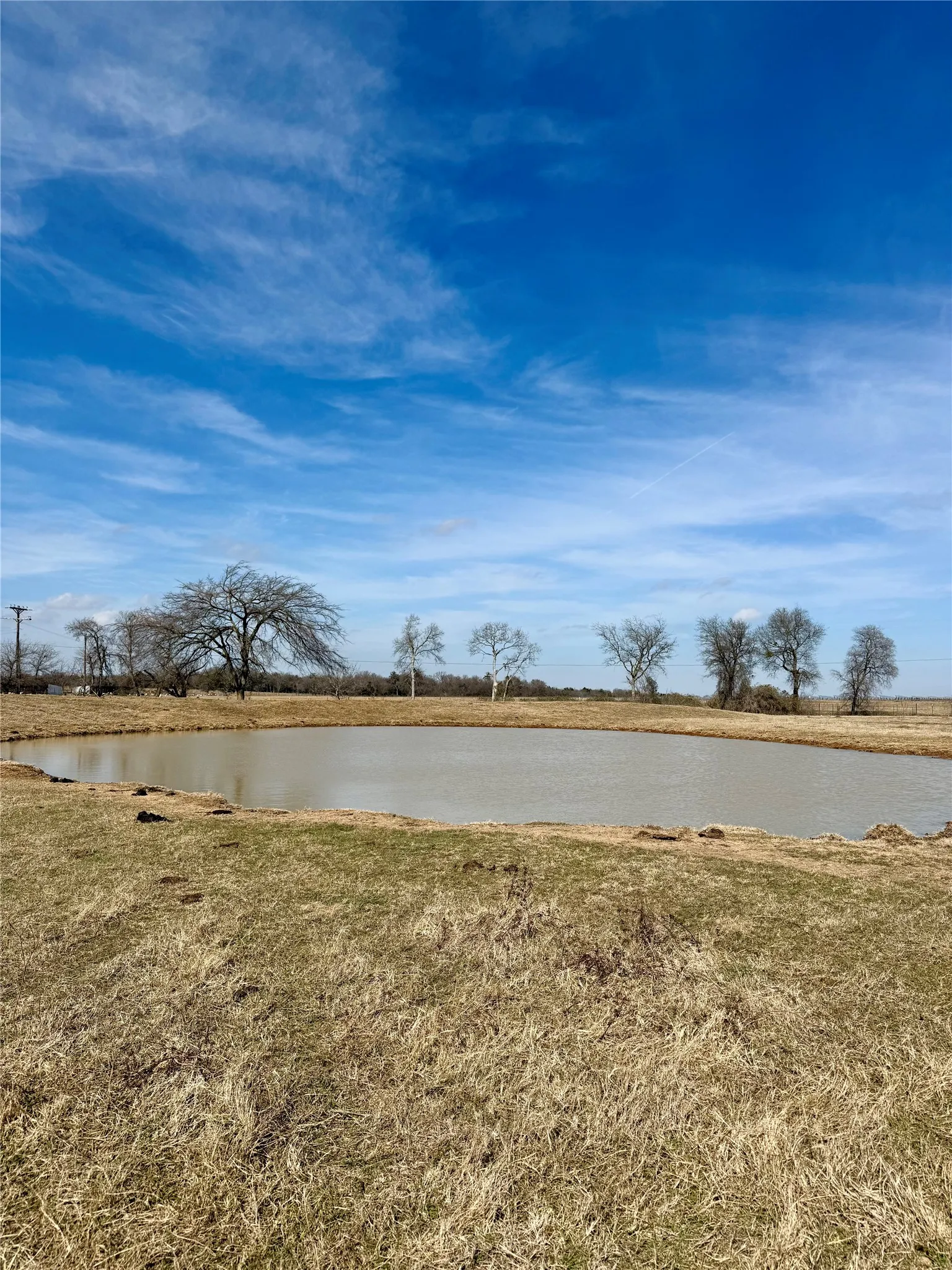 Unimproved Land For Sale in Limestone County , TBD County Road 656, Thornton, Texas 76687, 0, 0, Garage spaces, 0 Sqft, built in 0, Price $230,000, mls#21169502, Real Estate Agent in Thornton, Homes For Sale in Limestone county, Homes For Sale in Thornton, Realtor in Thornton Texas, Real Estate Brokerage Independent Realty Texas, Luminita Cordes Realtor