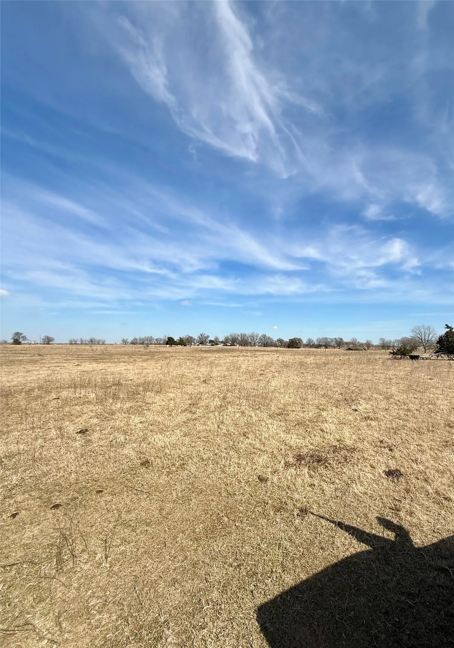 Unimproved Land For Sale in Limestone County , TBD County Road 656, Thornton, Texas 76687, 0, 0, Garage spaces, 0 Sqft, built in 0, Price $230,000, mls#21169502, Real Estate Agent in Thornton, Homes For Sale in Limestone county, Homes For Sale in Thornton, Realtor in Thornton Texas, Real Estate Brokerage Independent Realty Texas, Luminita Cordes Realtor