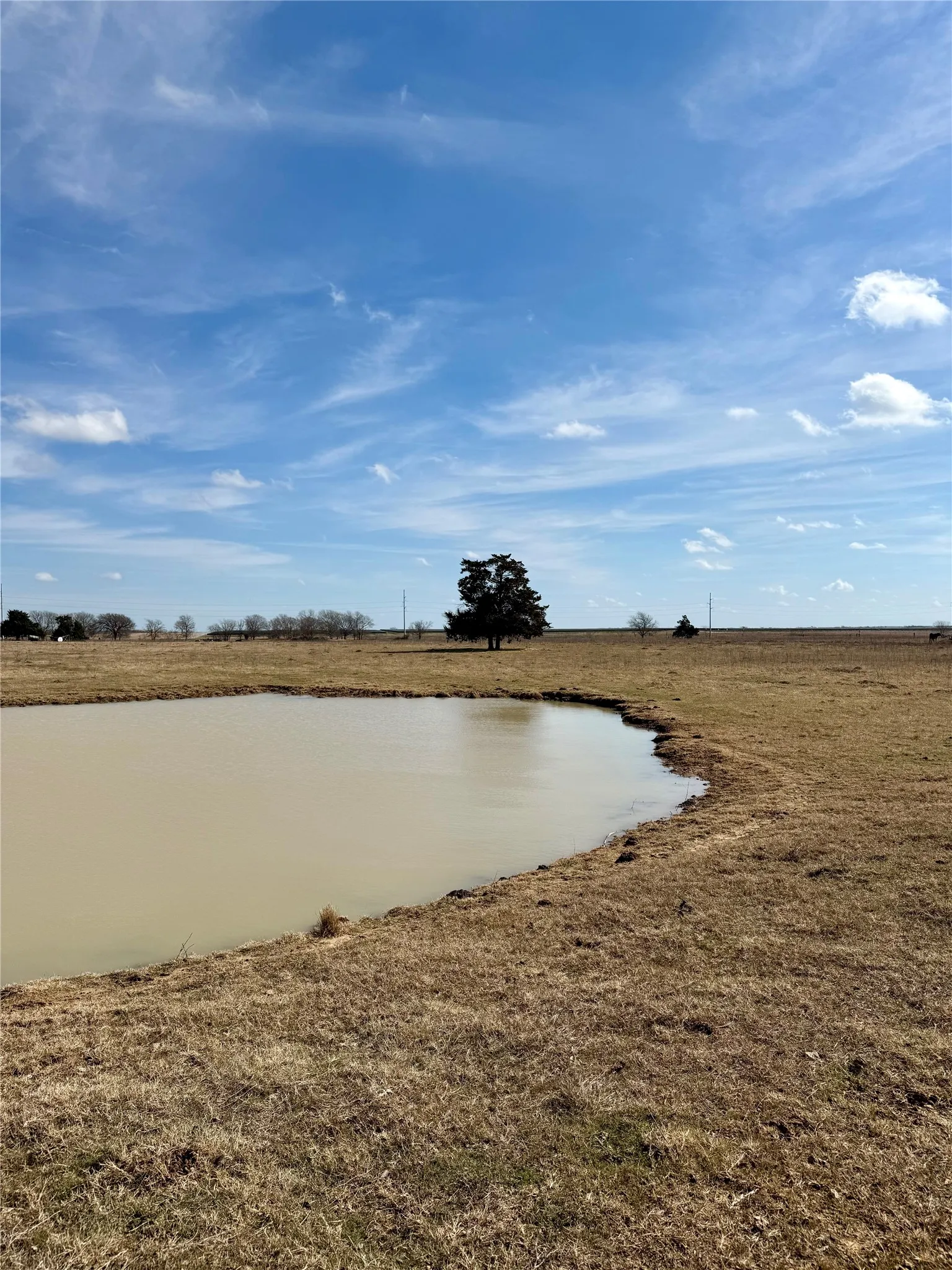 Unimproved Land For Sale in Limestone County , TBD County Road 656, Thornton, Texas 76687, 0, 0, Garage spaces, 0 Sqft, built in 0, Price $230,000, mls#21169502, Real Estate Agent in Thornton, Homes For Sale in Limestone county, Homes For Sale in Thornton, Realtor in Thornton Texas, Real Estate Brokerage Independent Realty Texas, Luminita Cordes Realtor