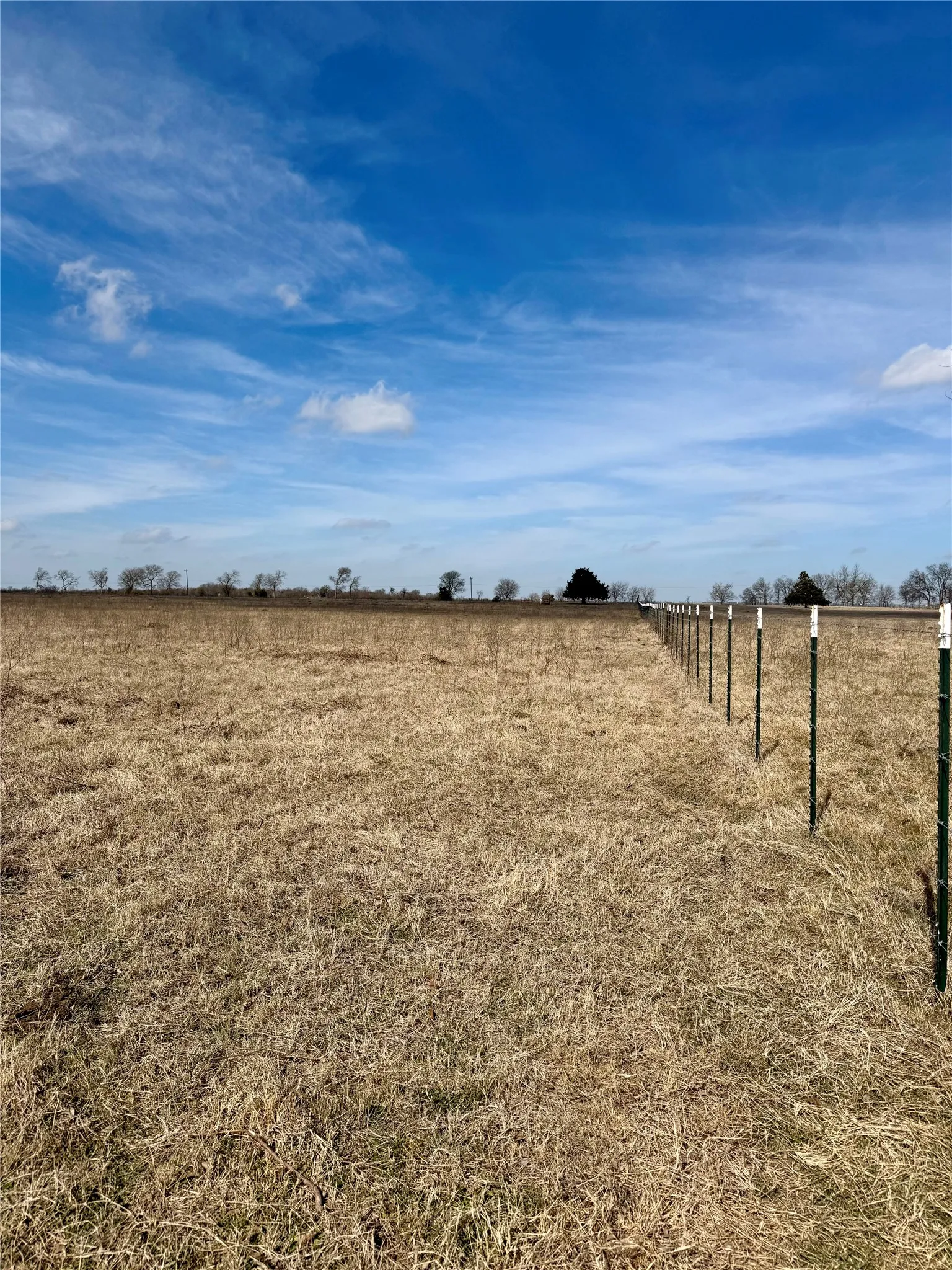Unimproved Land For Sale in Limestone County , TBD County Road 656, Thornton, Texas 76687, 0, 0, Garage spaces, 0 Sqft, built in 0, Price $230,000, mls#21169502, Real Estate Agent in Thornton, Homes For Sale in Limestone county, Homes For Sale in Thornton, Realtor in Thornton Texas, Real Estate Brokerage Independent Realty Texas, Luminita Cordes Realtor