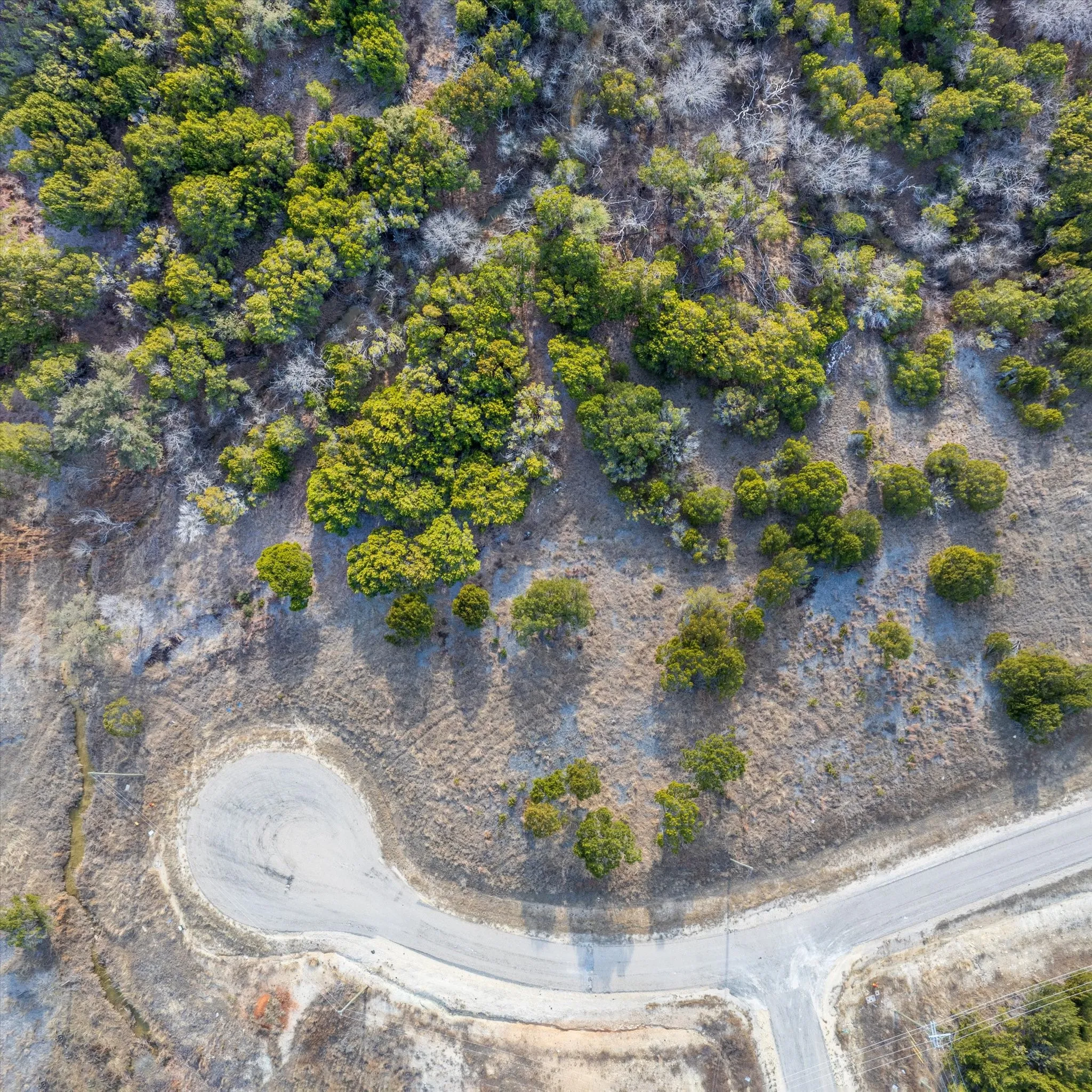 Unimproved Land For Sale in Somervell County , 1204 County Road 407a, Nemo, Texas 76070, 0, 0, Garage spaces, 0 Sqft, built in 0, Price $80,000, mls#21169619, Real Estate Agent in Nemo, Homes For Sale in Somervell county, Homes For Sale in Nemo, Realtor in Nemo Texas, Real Estate Brokerage Independent Realty Texas, Luminita Cordes Realtor