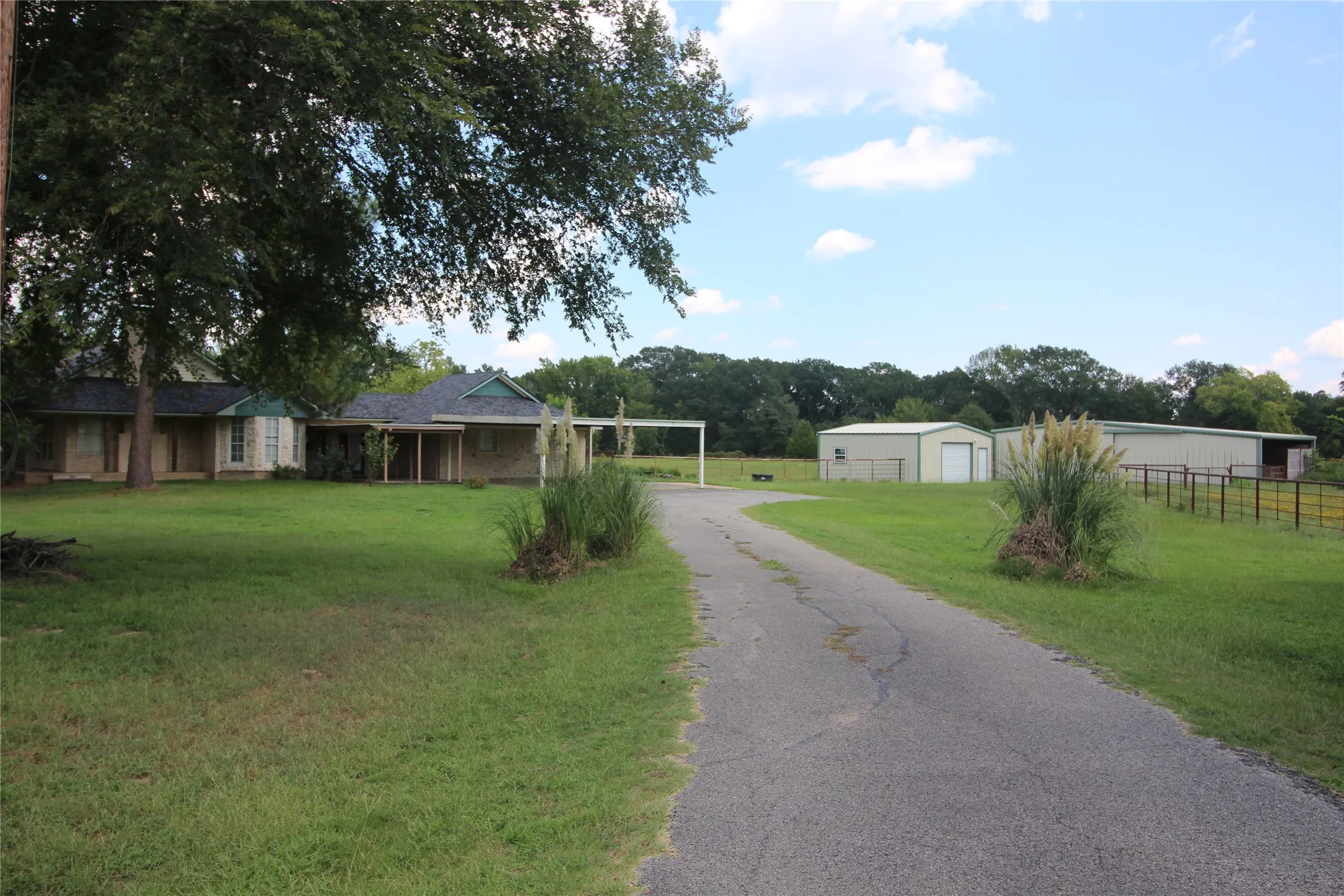 Driveway to home, workshop and barn.