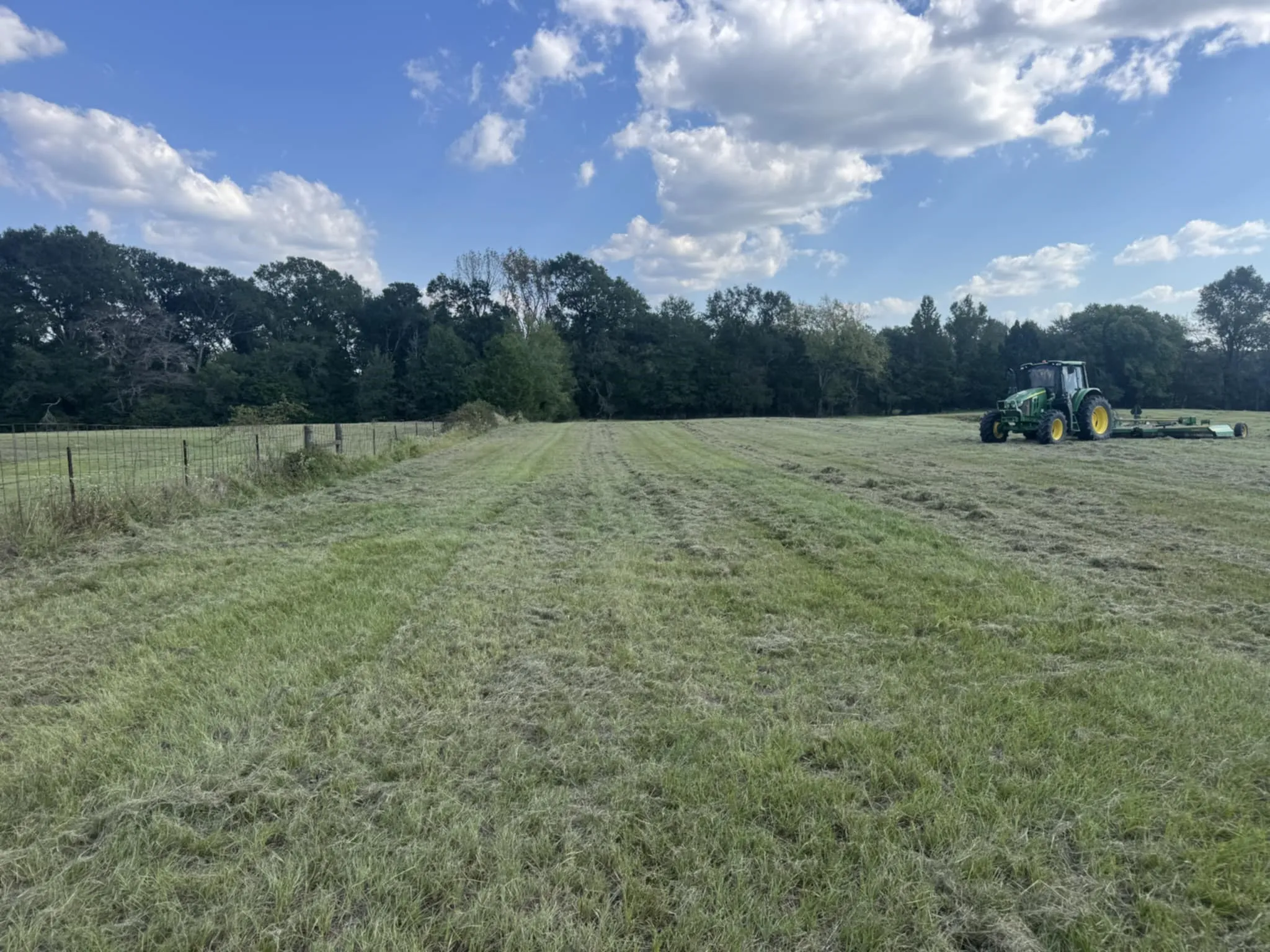 Back pasture