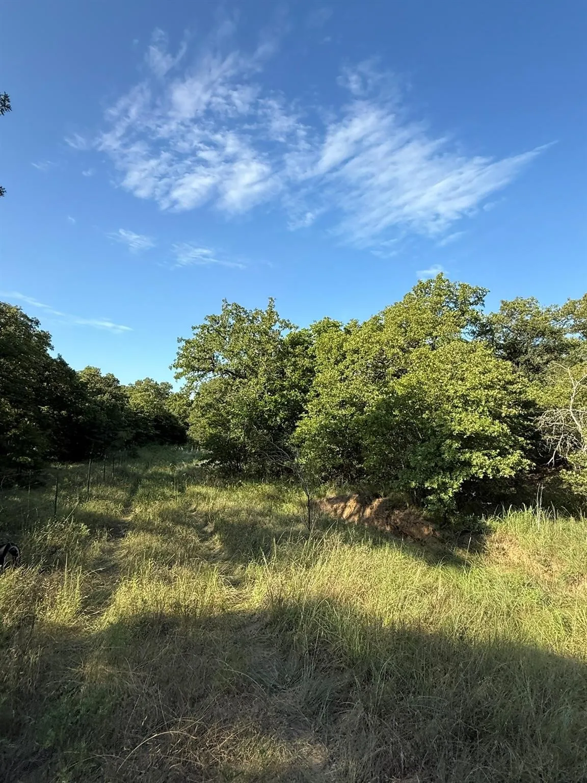 Unimproved Land For Sale in Montague County , 8801 Tx-59, Bowie, Texas 76230, 0, 0, Garage spaces, 0 Sqft, built in 0, Price $282,720, mls#21154343, Real Estate Agent in Bowie, Homes For Sale in Montague county, Homes For Sale in Bowie, Realtor in Bowie Texas, Real Estate Brokerage Independent Realty Texas, Luminita Cordes Realtor
