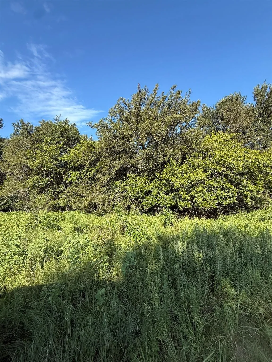 Unimproved Land For Sale in Montague County , 8801 Tx-59, Bowie, Texas 76230, 0, 0, Garage spaces, 0 Sqft, built in 0, Price $282,720, mls#21154343, Real Estate Agent in Bowie, Homes For Sale in Montague county, Homes For Sale in Bowie, Realtor in Bowie Texas, Real Estate Brokerage Independent Realty Texas, Luminita Cordes Realtor