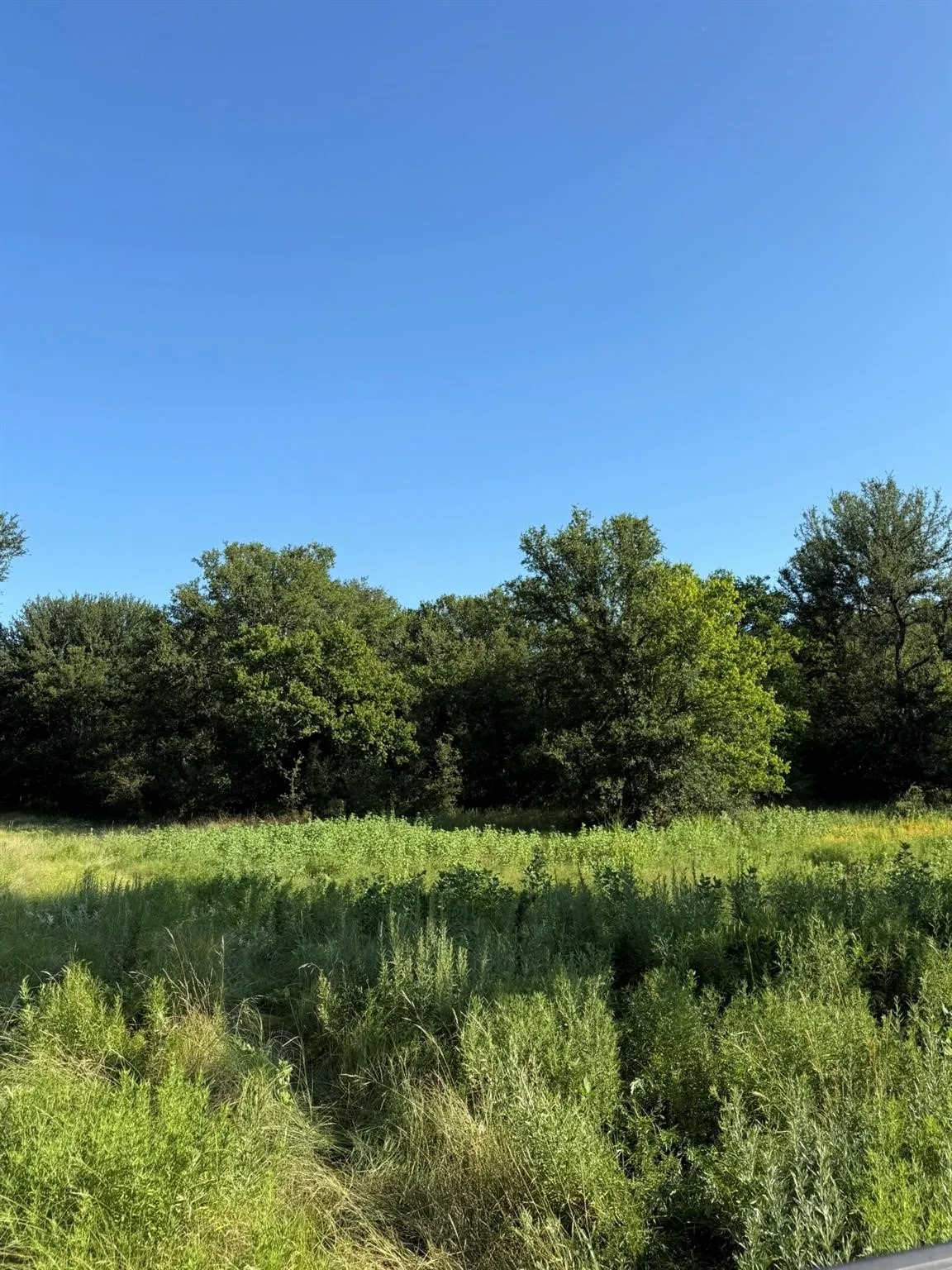 Unimproved Land For Sale in Montague County , 8801 Tx-59, Bowie, Texas 76230, 0, 0, Garage spaces, 0 Sqft, built in 0, Price $282,720, mls#21154343, Real Estate Agent in Bowie, Homes For Sale in Montague county, Homes For Sale in Bowie, Realtor in Bowie Texas, Real Estate Brokerage Independent Realty Texas, Luminita Cordes Realtor