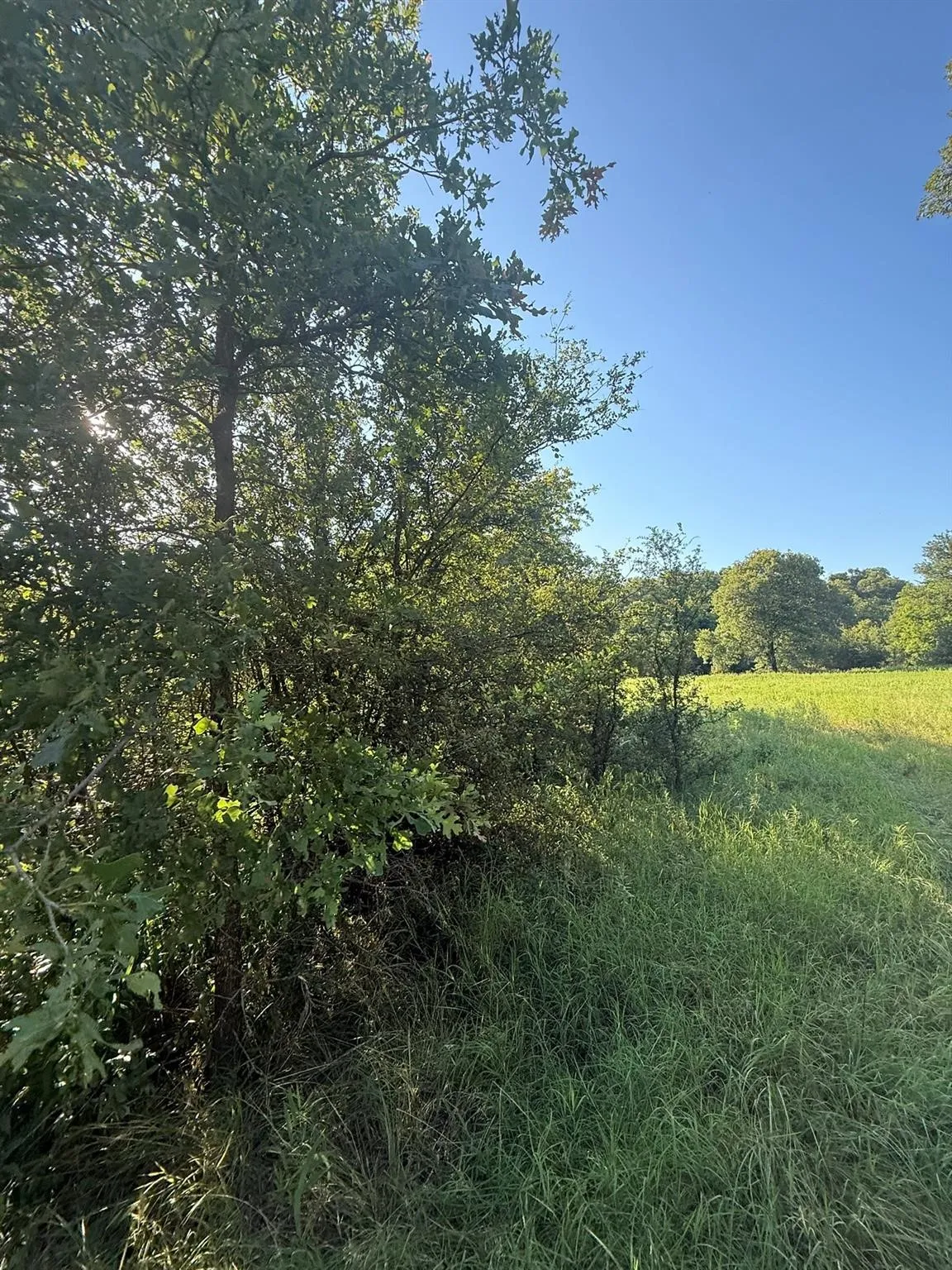 Unimproved Land For Sale in Montague County , 8801 Tx-59, Bowie, Texas 76230, 0, 0, Garage spaces, 0 Sqft, built in 0, Price $282,720, mls#21154343, Real Estate Agent in Bowie, Homes For Sale in Montague county, Homes For Sale in Bowie, Realtor in Bowie Texas, Real Estate Brokerage Independent Realty Texas, Luminita Cordes Realtor