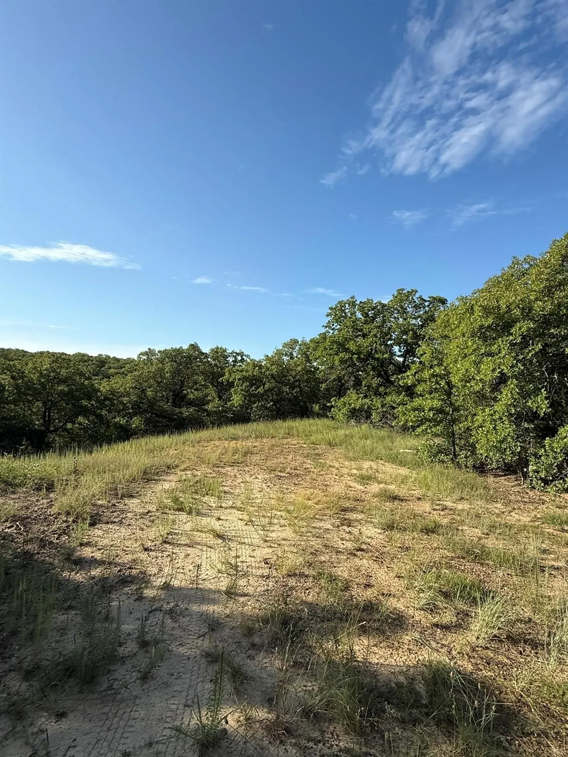 Unimproved Land For Sale in Montague County , 8801 Tx-59, Bowie, Texas 76230, 0, 0, Garage spaces, 0 Sqft, built in 0, Price $282,720, mls#21154343, Real Estate Agent in Bowie, Homes For Sale in Montague county, Homes For Sale in Bowie, Realtor in Bowie Texas, Real Estate Brokerage Independent Realty Texas, Luminita Cordes Realtor