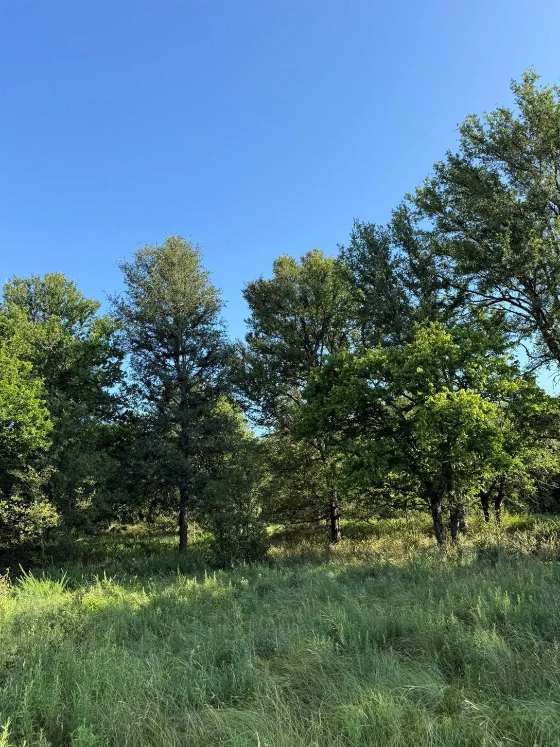 Unimproved Land For Sale in Montague County , 8801 Tx-59, Bowie, Texas 76230, 0, 0, Garage spaces, 0 Sqft, built in 0, Price $282,720, mls#21154343, Real Estate Agent in Bowie, Homes For Sale in Montague county, Homes For Sale in Bowie, Realtor in Bowie Texas, Real Estate Brokerage Independent Realty Texas, Luminita Cordes Realtor