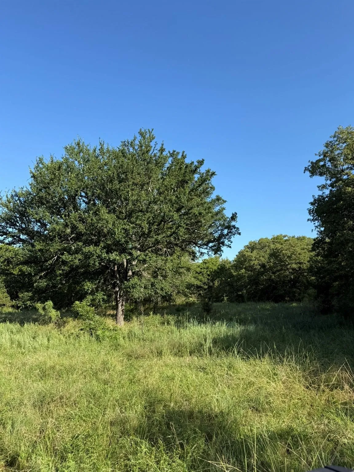 Unimproved Land For Sale in Montague County , 8801 Tx-59, Bowie, Texas 76230, 0, 0, Garage spaces, 0 Sqft, built in 0, Price $282,720, mls#21154343, Real Estate Agent in Bowie, Homes For Sale in Montague county, Homes For Sale in Bowie, Realtor in Bowie Texas, Real Estate Brokerage Independent Realty Texas, Luminita Cordes Realtor