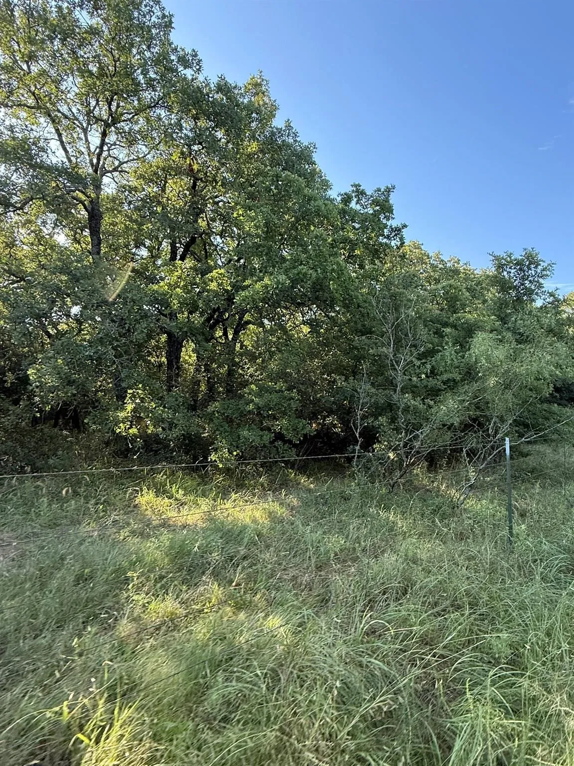 Unimproved Land For Sale in Montague County , 8801 Tx-59, Bowie, Texas 76230, 0, 0, Garage spaces, 0 Sqft, built in 0, Price $282,720, mls#21154343, Real Estate Agent in Bowie, Homes For Sale in Montague county, Homes For Sale in Bowie, Realtor in Bowie Texas, Real Estate Brokerage Independent Realty Texas, Luminita Cordes Realtor