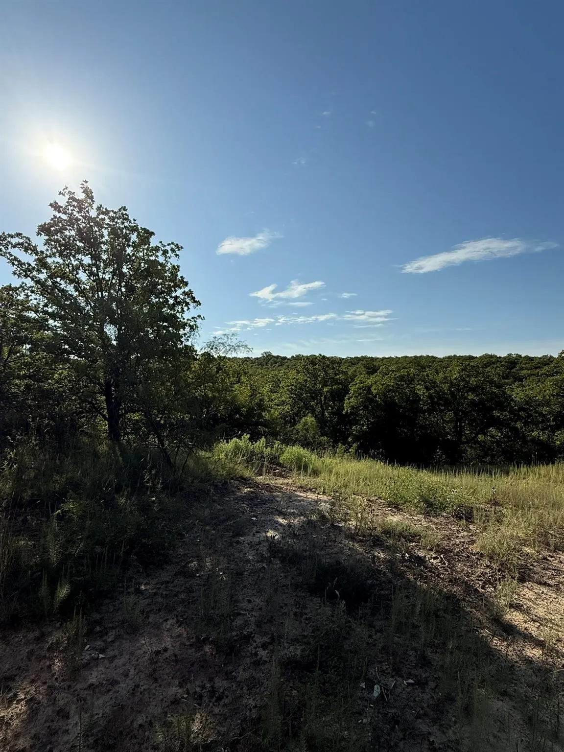 Unimproved Land For Sale in Montague County , 8801 Tx-59, Bowie, Texas 76230, 0, 0, Garage spaces, 0 Sqft, built in 0, Price $282,720, mls#21154343, Real Estate Agent in Bowie, Homes For Sale in Montague county, Homes For Sale in Bowie, Realtor in Bowie Texas, Real Estate Brokerage Independent Realty Texas, Luminita Cordes Realtor