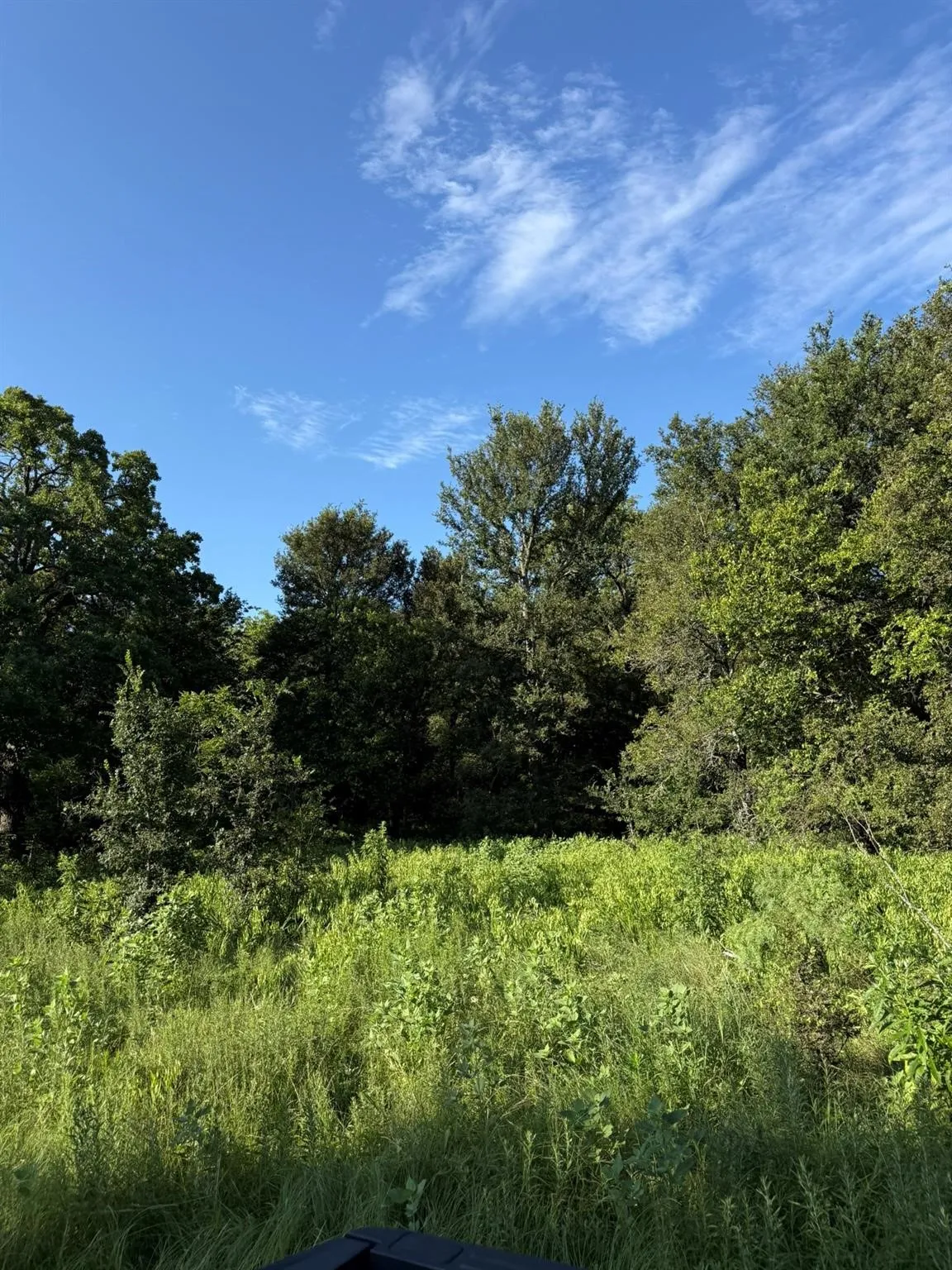 Unimproved Land For Sale in Montague County , 8801 Tx-59, Bowie, Texas 76230, 0, 0, Garage spaces, 0 Sqft, built in 0, Price $282,720, mls#21154343, Real Estate Agent in Bowie, Homes For Sale in Montague county, Homes For Sale in Bowie, Realtor in Bowie Texas, Real Estate Brokerage Independent Realty Texas, Luminita Cordes Realtor