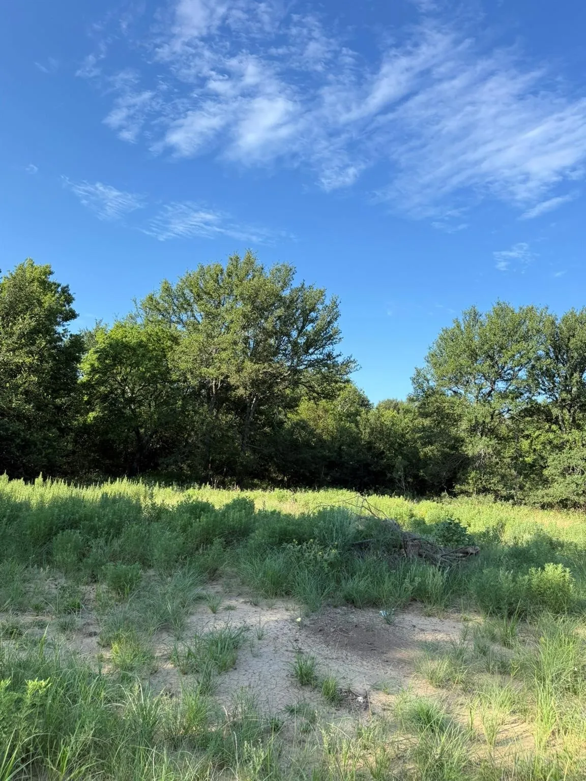 Unimproved Land For Sale in Montague County , 8801 Tx-59, Bowie, Texas 76230, 0, 0, Garage spaces, 0 Sqft, built in 0, Price $282,720, mls#21154343, Real Estate Agent in Bowie, Homes For Sale in Montague county, Homes For Sale in Bowie, Realtor in Bowie Texas, Real Estate Brokerage Independent Realty Texas, Luminita Cordes Realtor