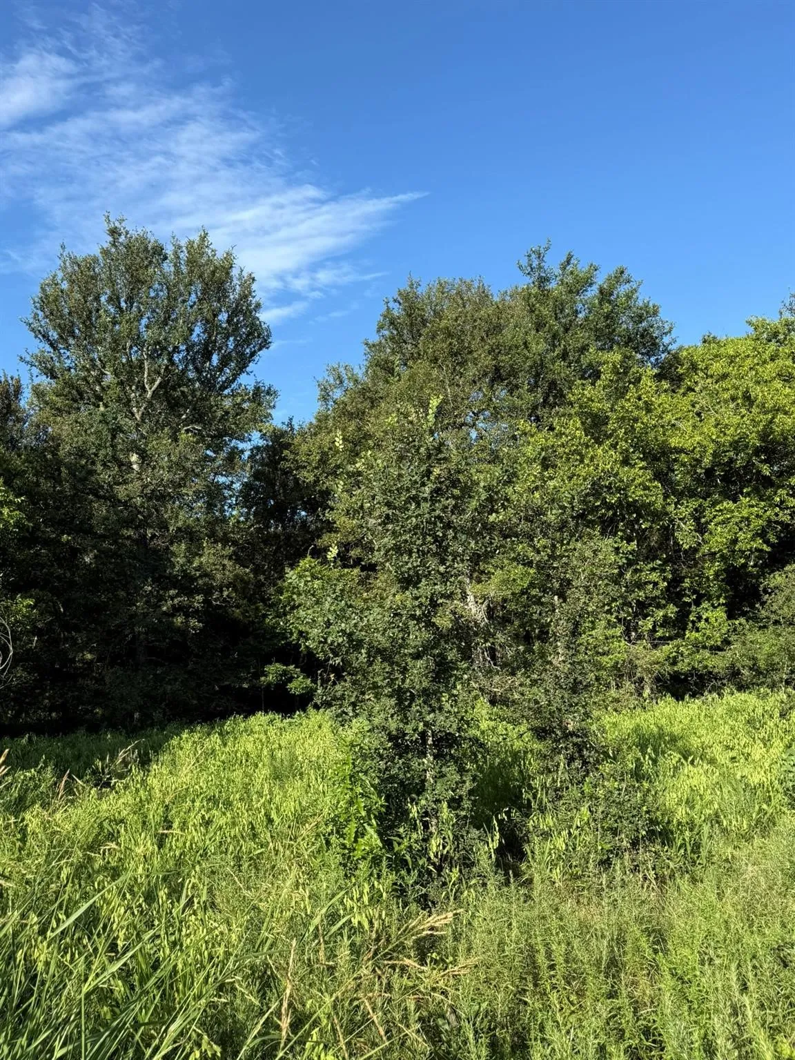 Unimproved Land For Sale in Montague County , 8801 Tx-59, Bowie, Texas 76230, 0, 0, Garage spaces, 0 Sqft, built in 0, Price $282,720, mls#21154343, Real Estate Agent in Bowie, Homes For Sale in Montague county, Homes For Sale in Bowie, Realtor in Bowie Texas, Real Estate Brokerage Independent Realty Texas, Luminita Cordes Realtor