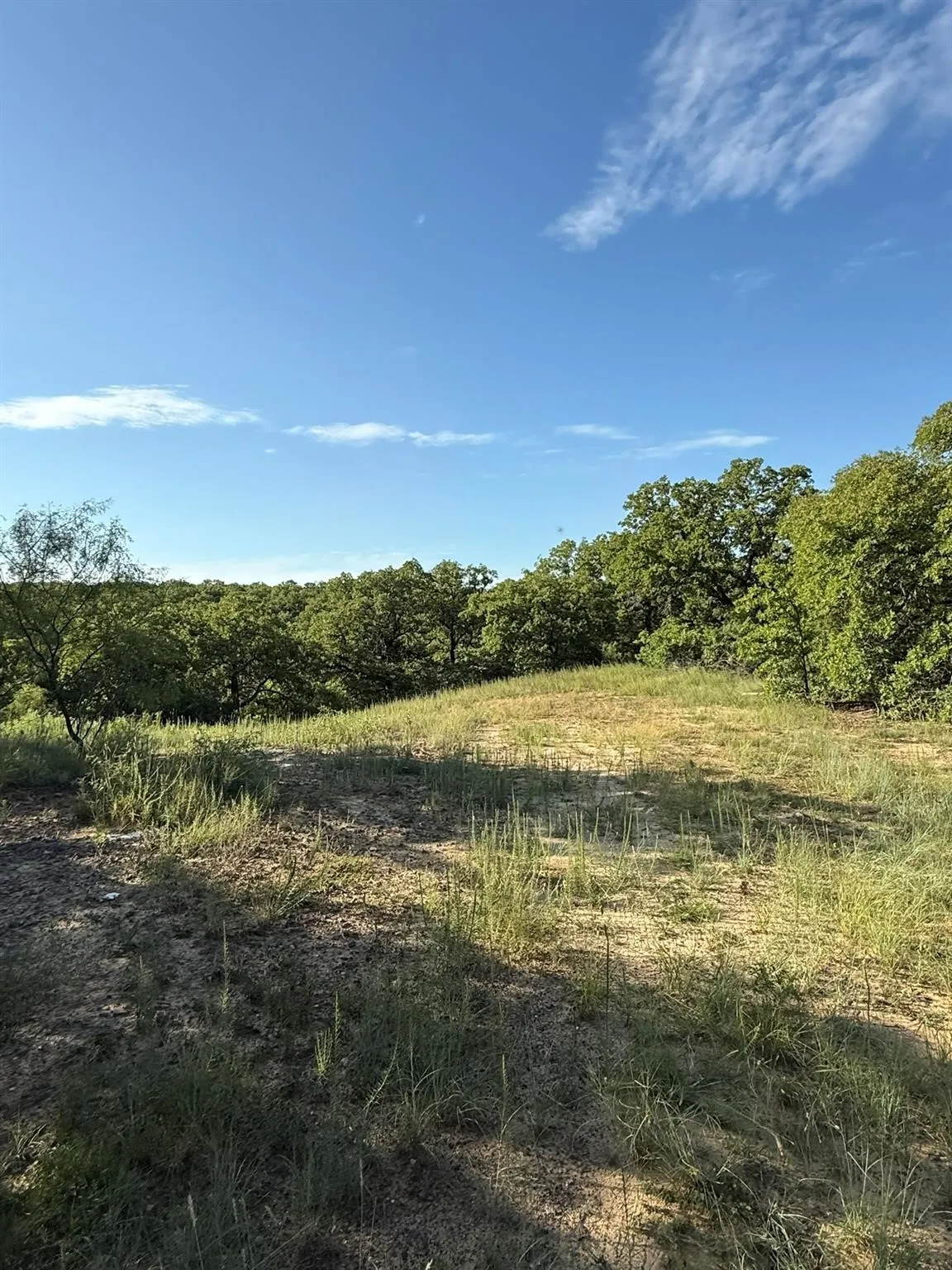 Unimproved Land For Sale in Montague County , 8801 Tx-59, Bowie, Texas 76230, 0, 0, Garage spaces, 0 Sqft, built in 0, Price $282,720, mls#21154343, Real Estate Agent in Bowie, Homes For Sale in Montague county, Homes For Sale in Bowie, Realtor in Bowie Texas, Real Estate Brokerage Independent Realty Texas, Luminita Cordes Realtor