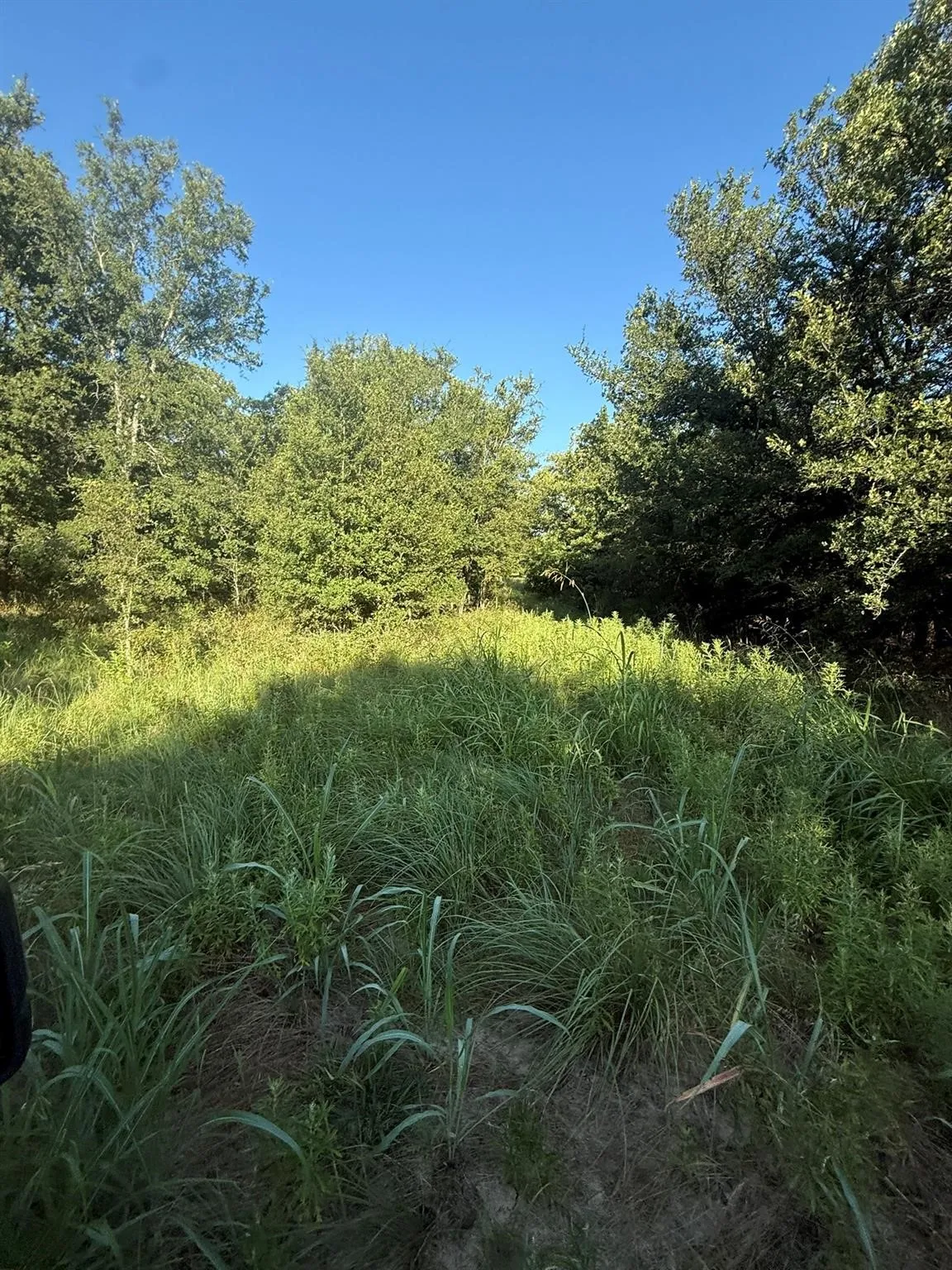 Unimproved Land For Sale in Montague County , 8801 Tx-59, Bowie, Texas 76230, 0, 0, Garage spaces, 0 Sqft, built in 0, Price $282,720, mls#21154343, Real Estate Agent in Bowie, Homes For Sale in Montague county, Homes For Sale in Bowie, Realtor in Bowie Texas, Real Estate Brokerage Independent Realty Texas, Luminita Cordes Realtor